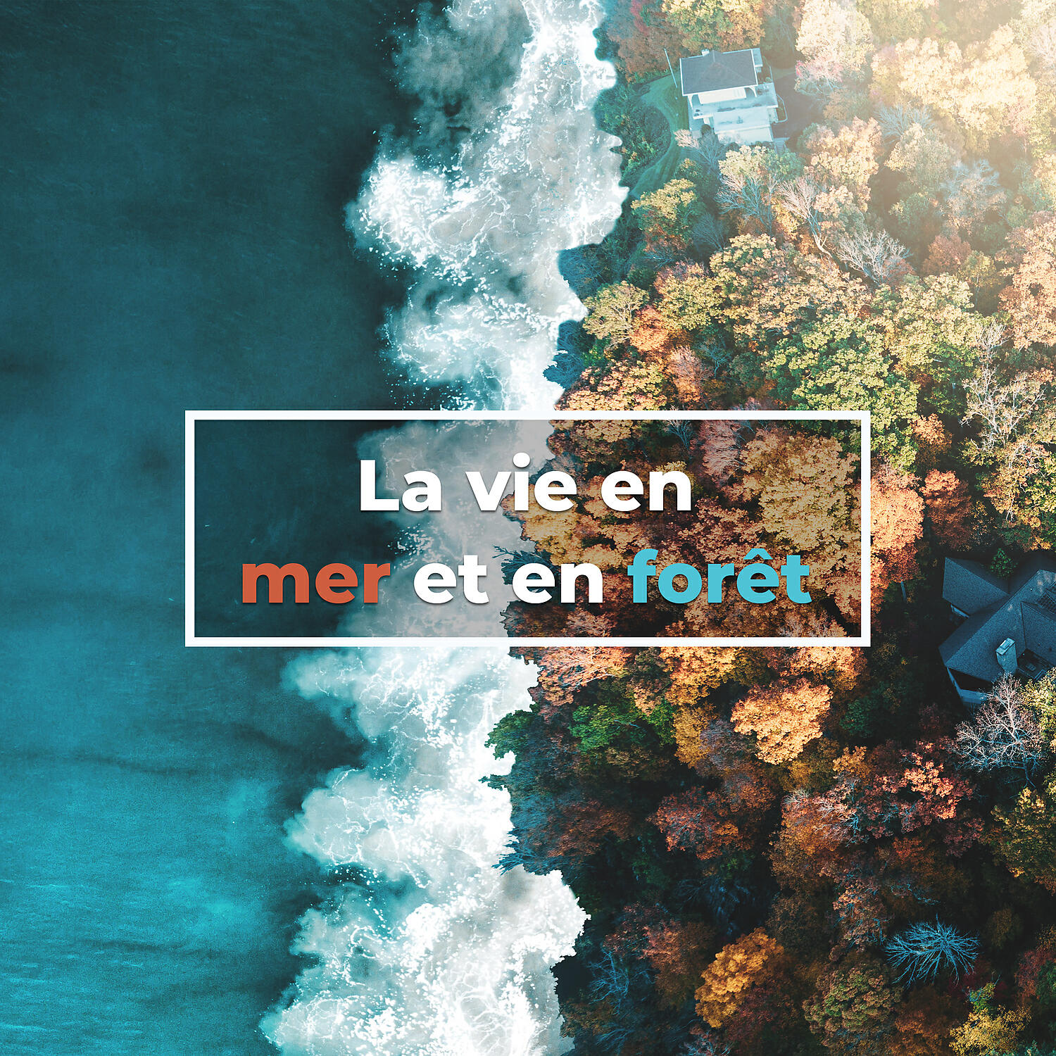 Bouddha Musique Sanctuaire - Vague après vague