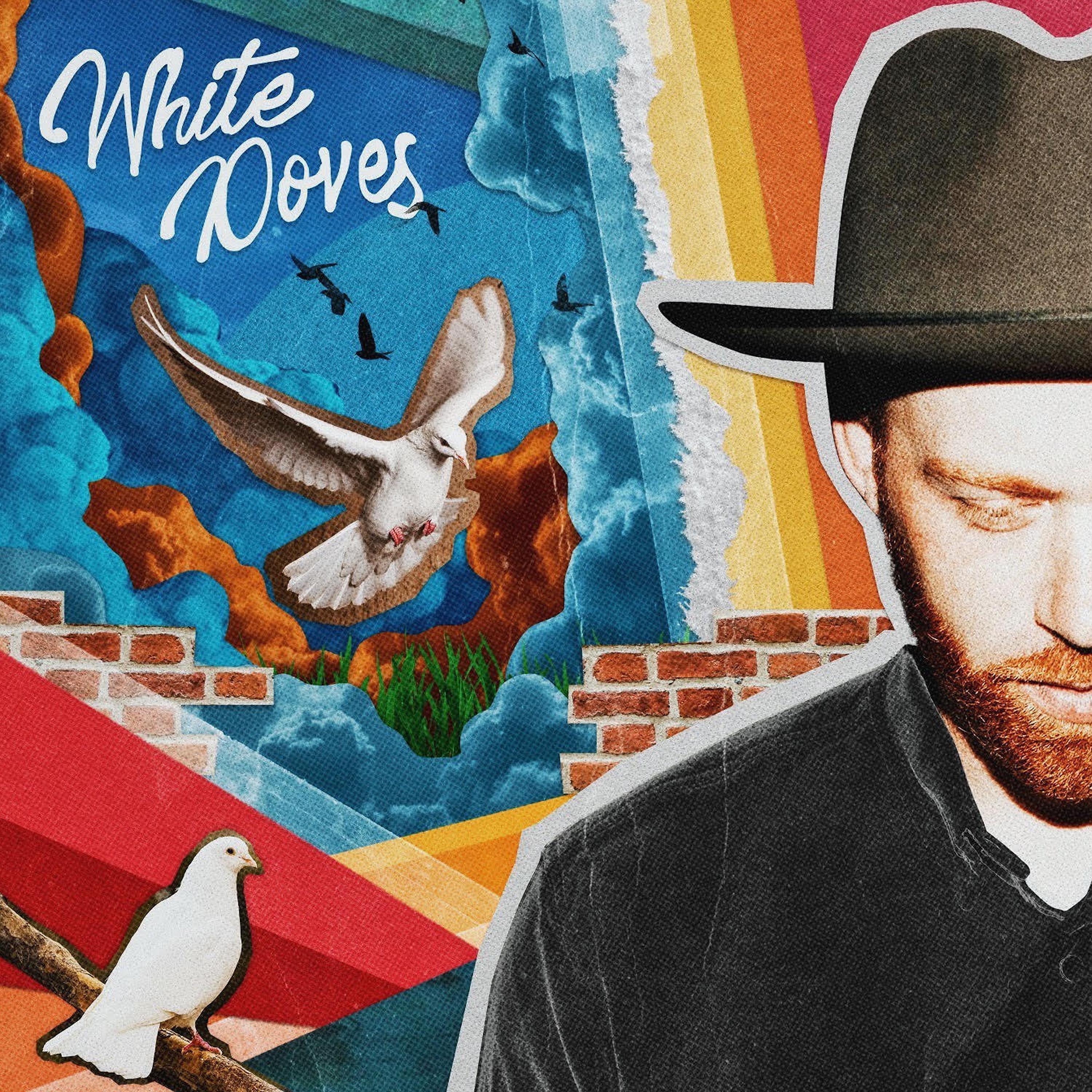 Постер альбома White Doves
