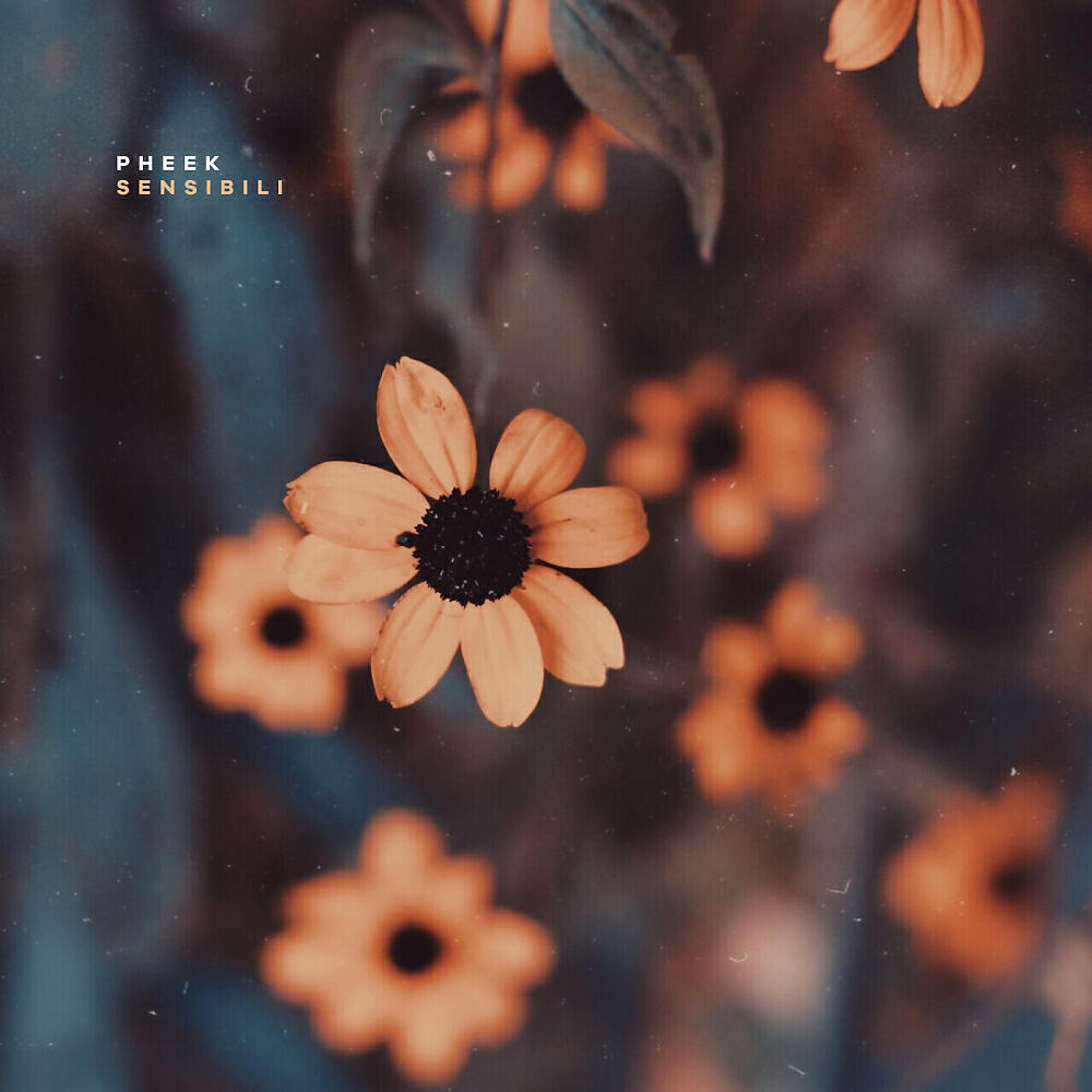 Pheek - Tournemine