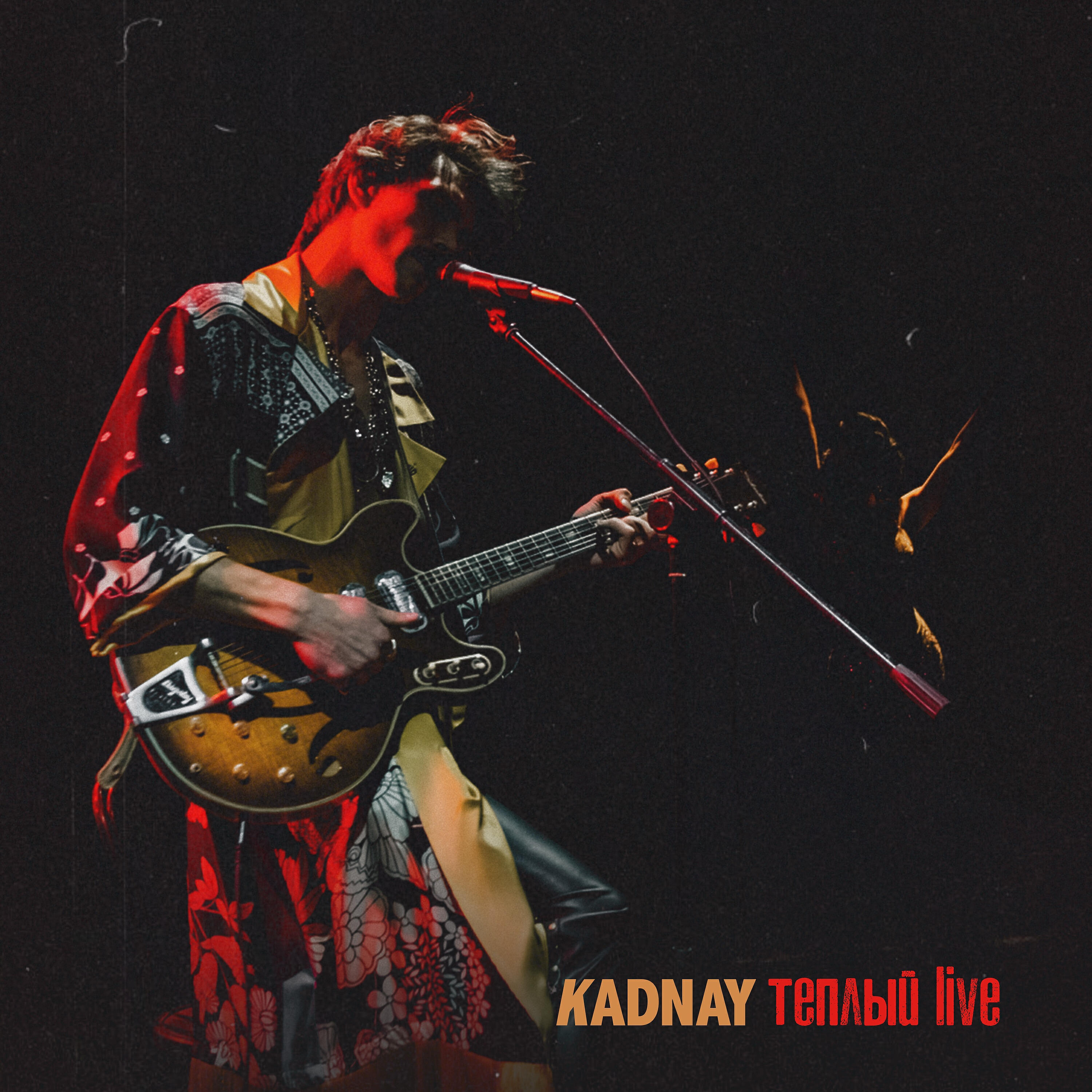 KADNAY - Santiago (Тёплый Live)