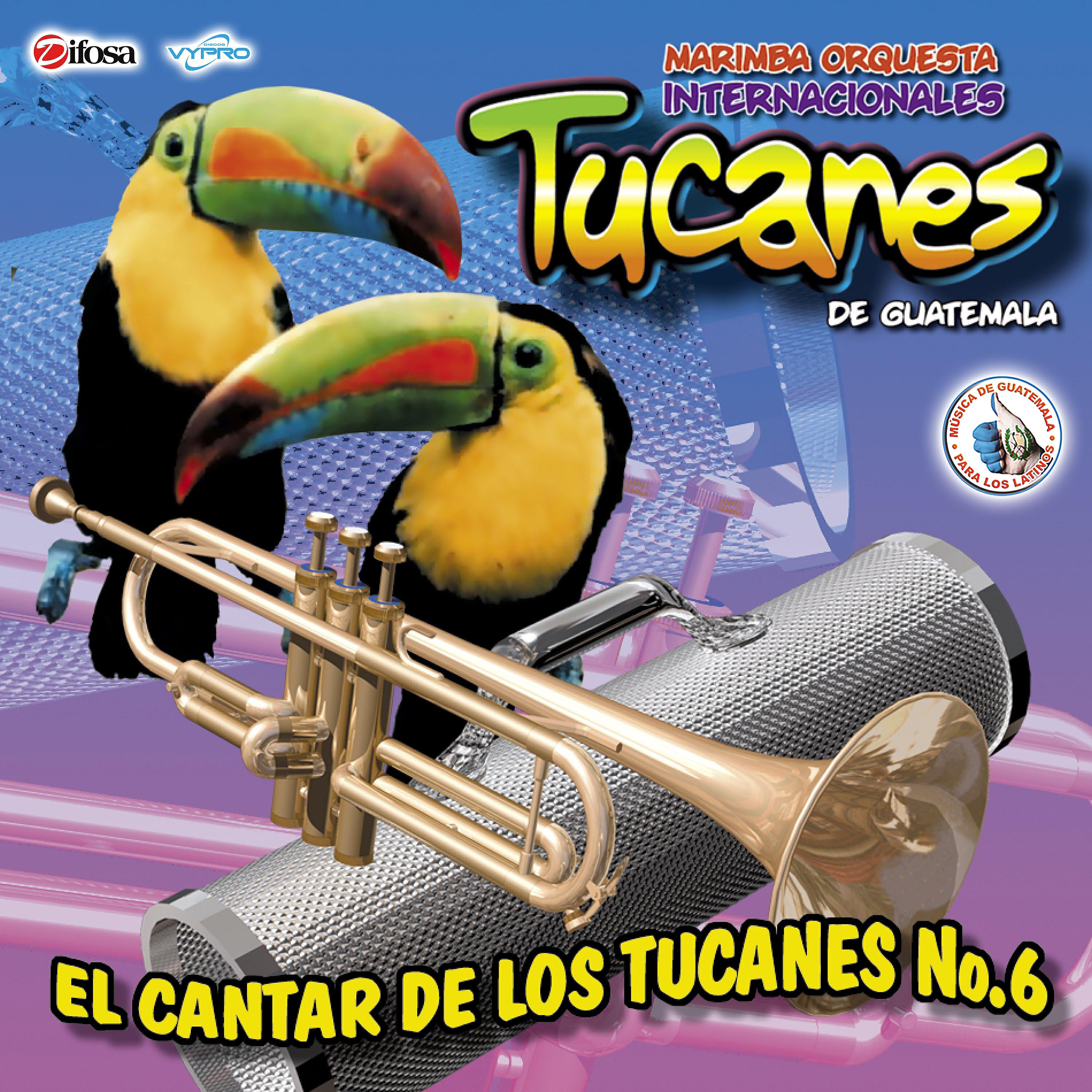 Marimba Orquesta Internacionales Tucanes de Guatemala - Mojado