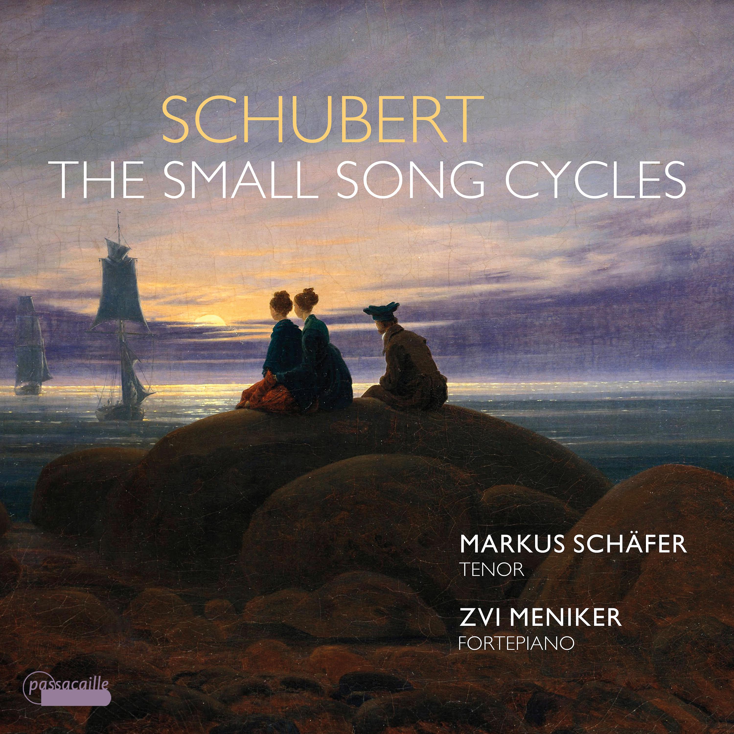 Постер альбома Schubert: The Small Song Cycles