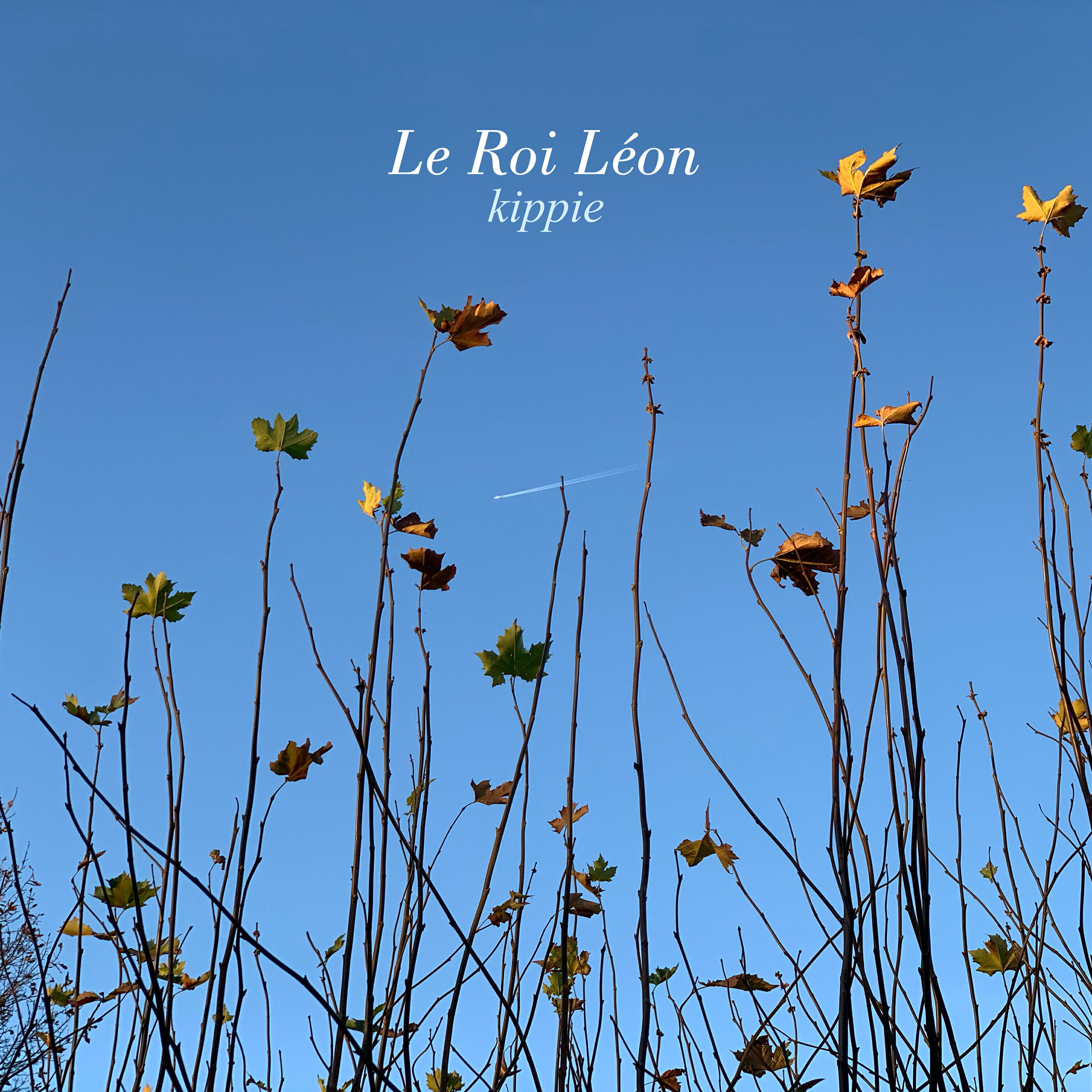 Le Roi Léon - Kippie