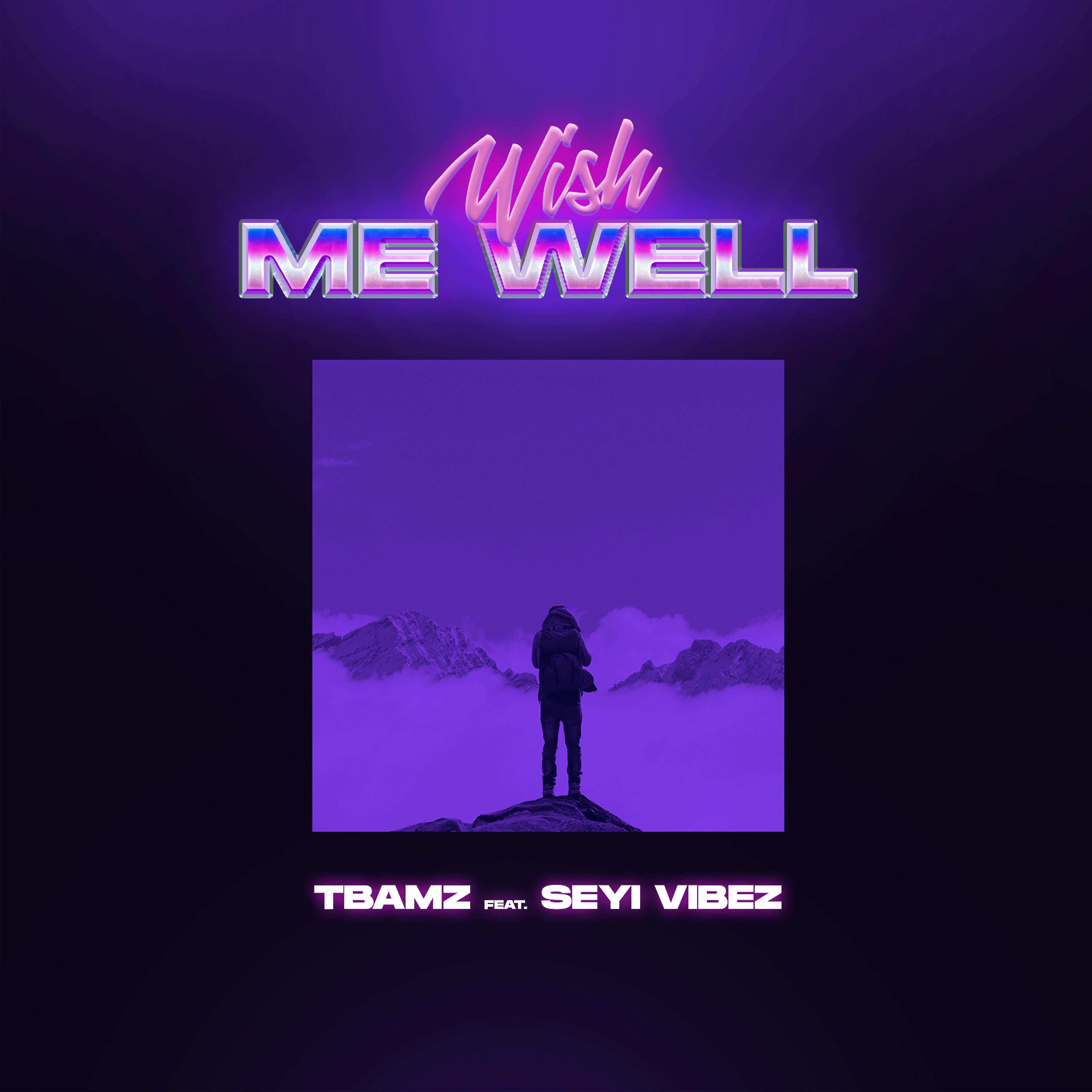 Постер альбома Wish Me Well (feat. Seyi Vibez)