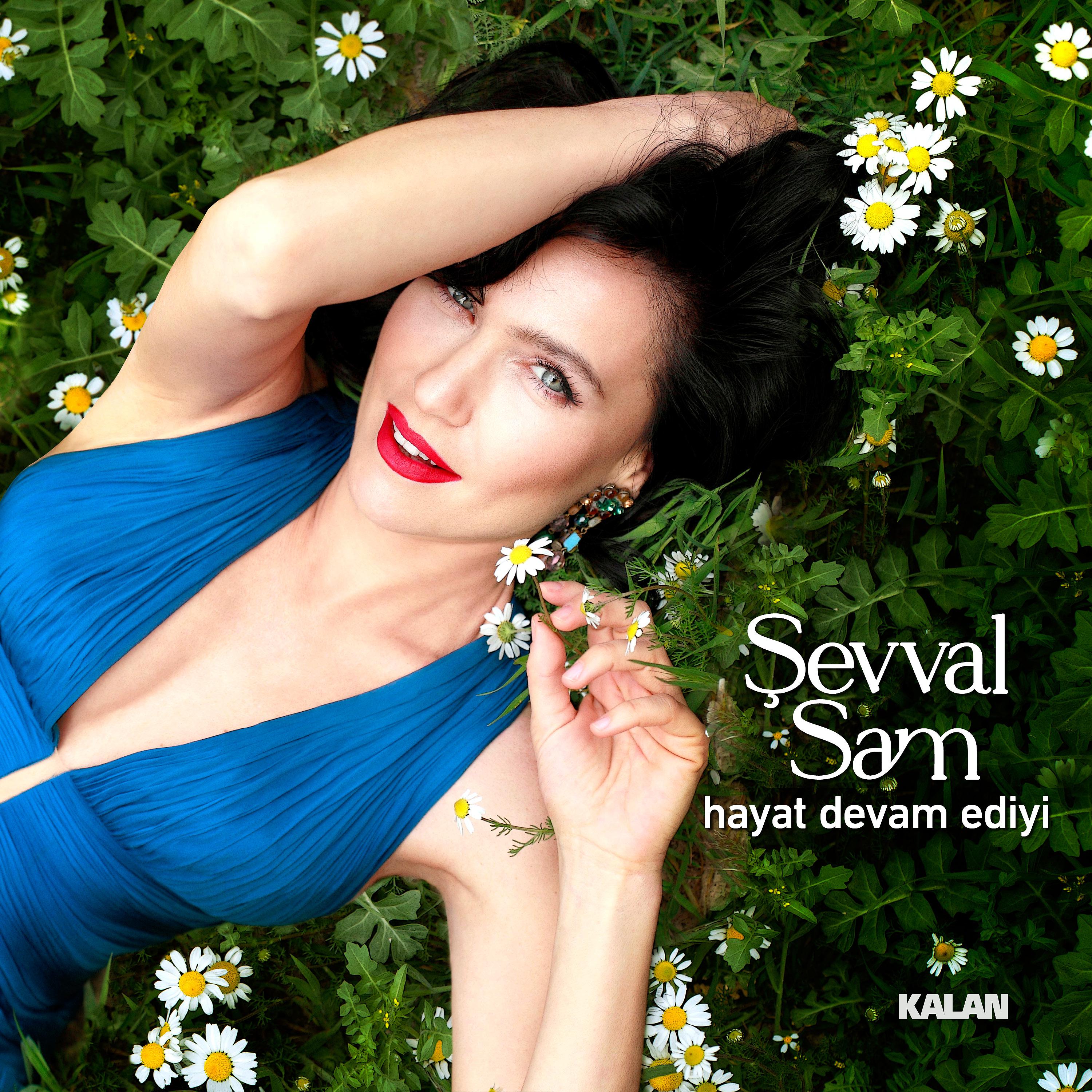 Постер альбома Hayat Devam Ediyi