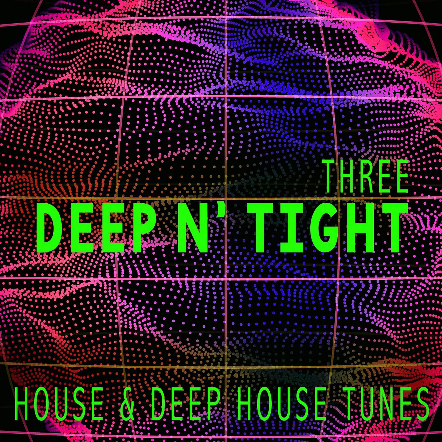 Постер альбома Deep N' Tight - Three - House & Deep House Tunes