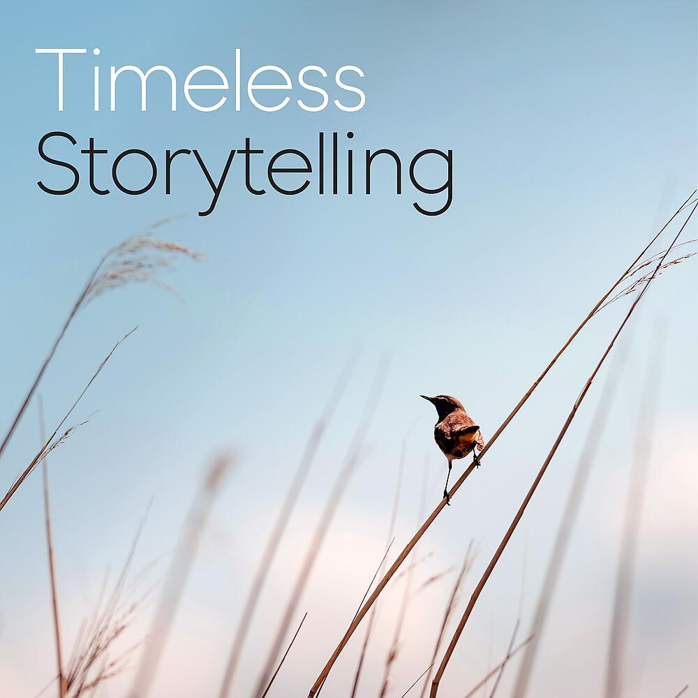 Постер альбома Timeless Storytelling