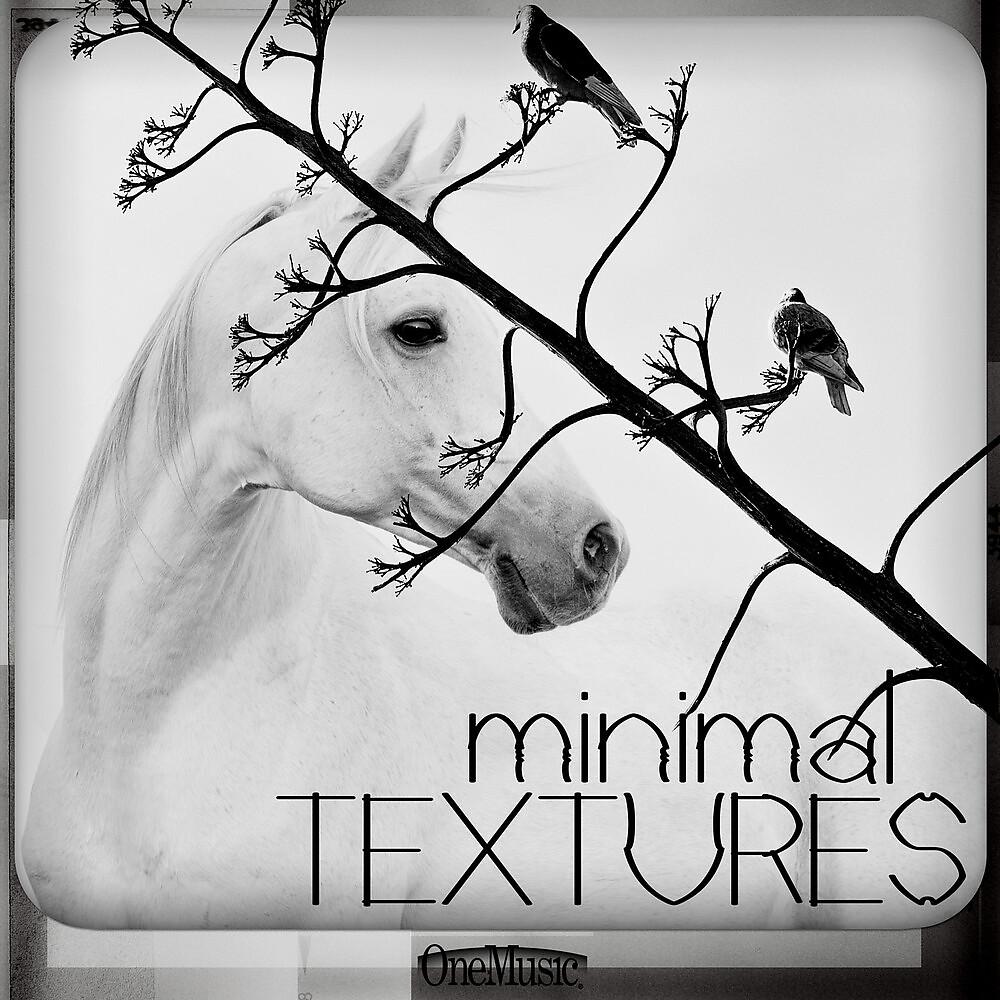 Постер альбома Minimal Textures