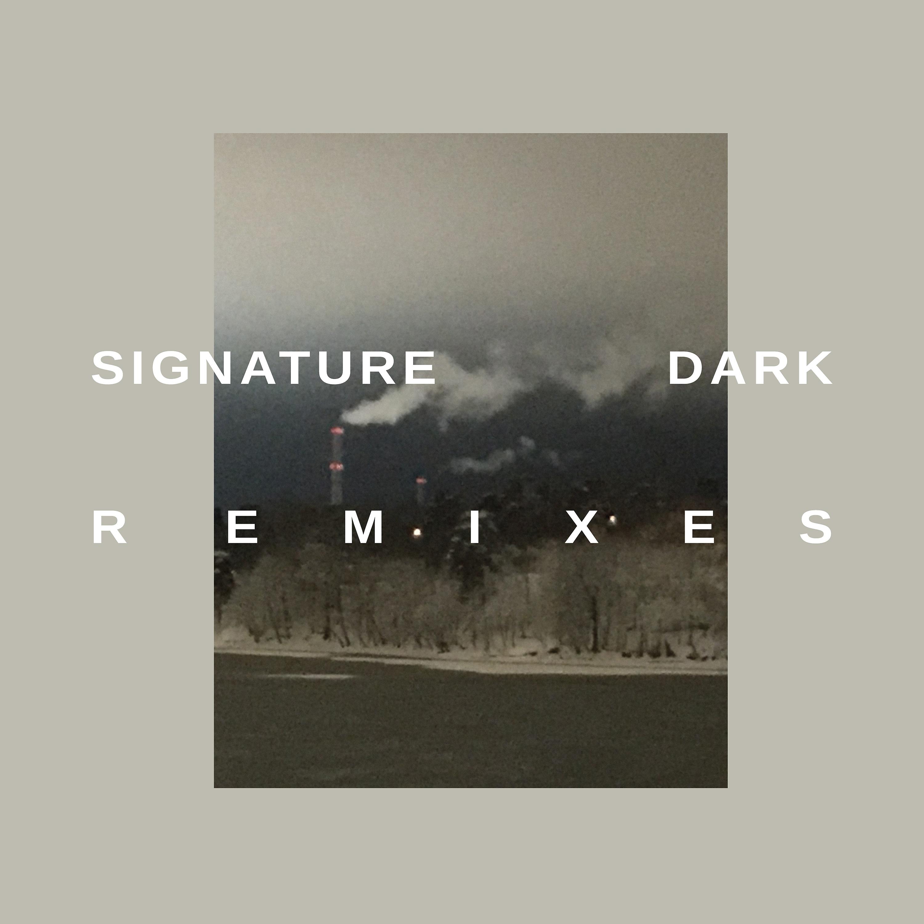 Постер альбома Signature Dark Remixes
