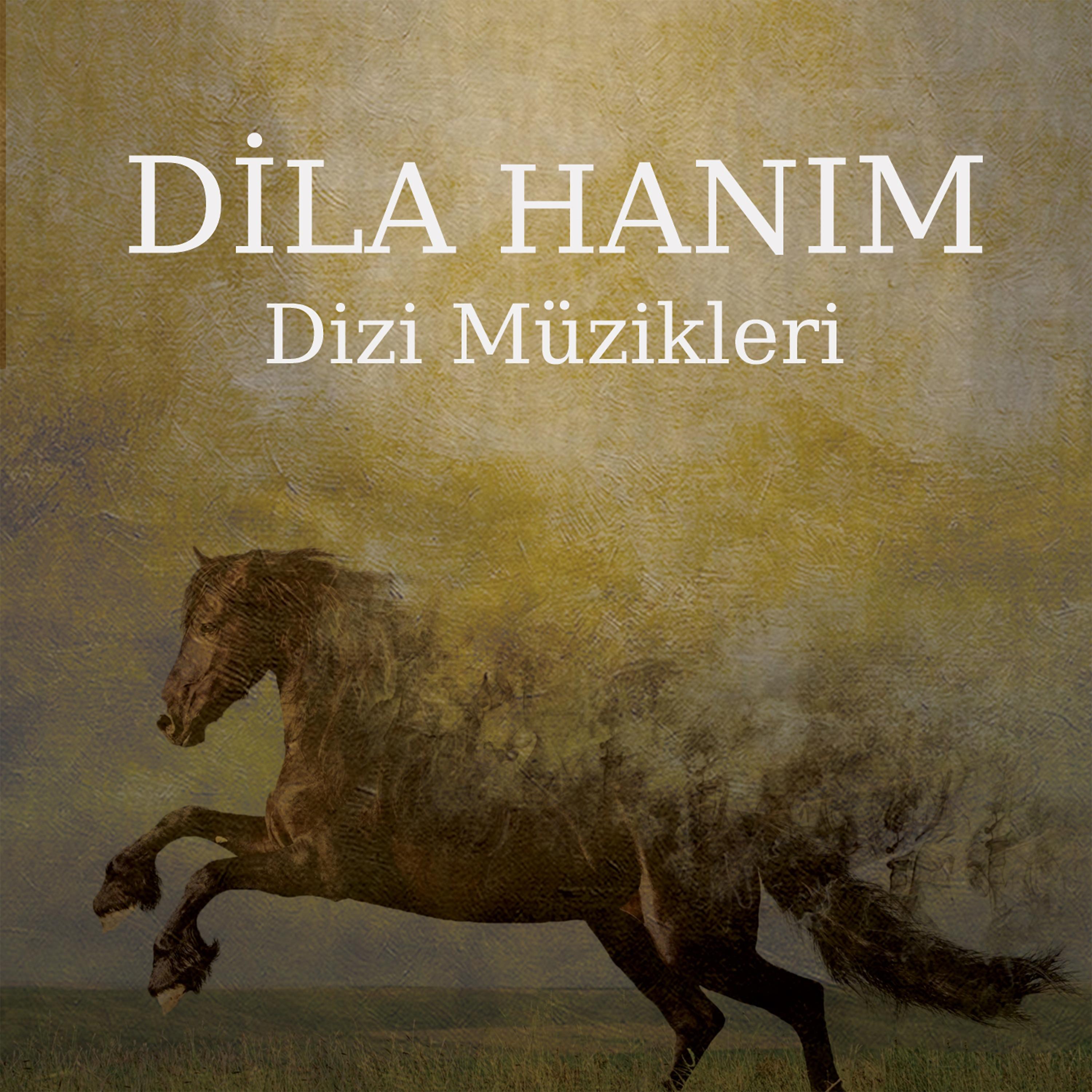 Постер альбома Dila Hanım (Orijinal Dizi Müzikleri)