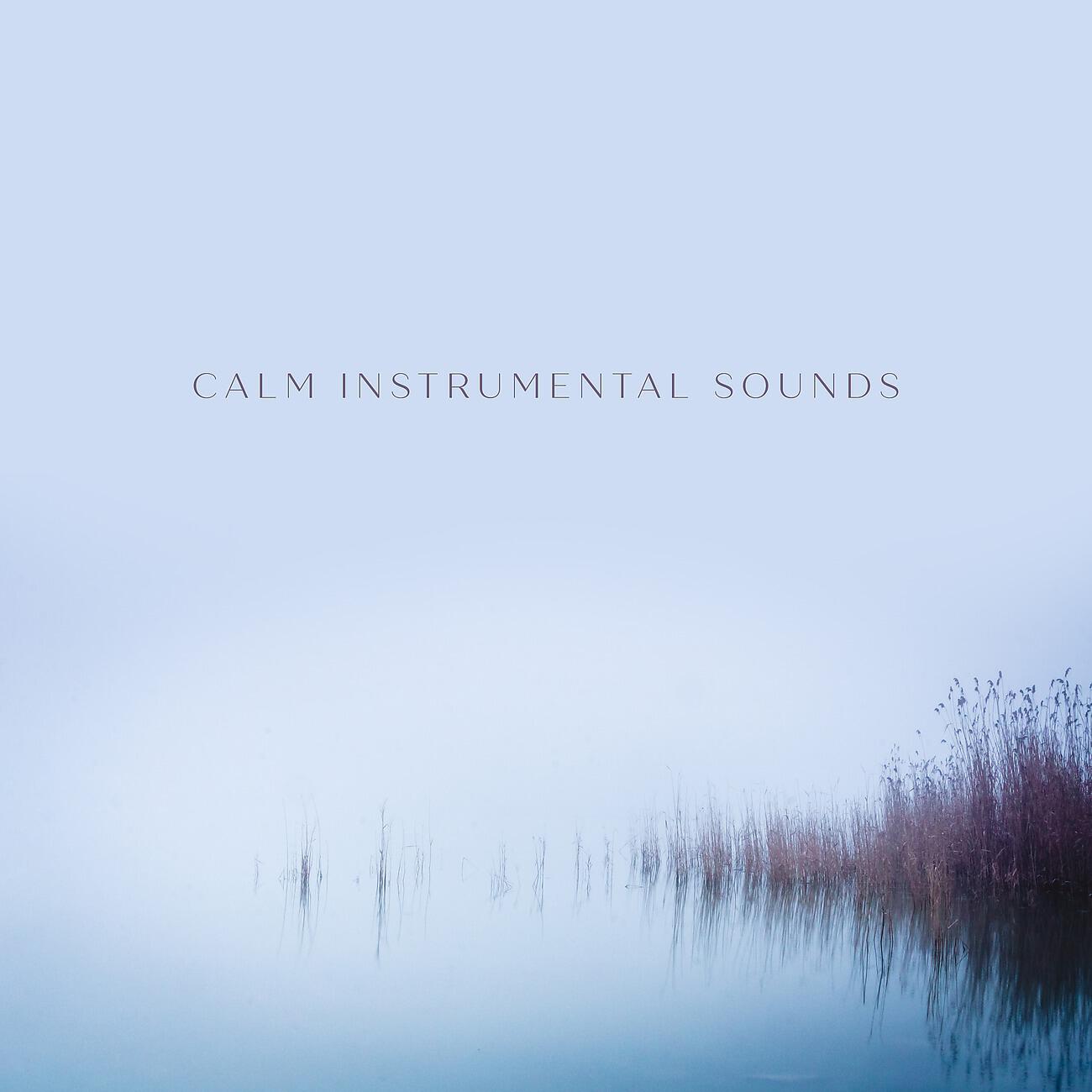 Oasis of Relaxation Meditation - Zen Flute & Spring Moon – New Age Sounds