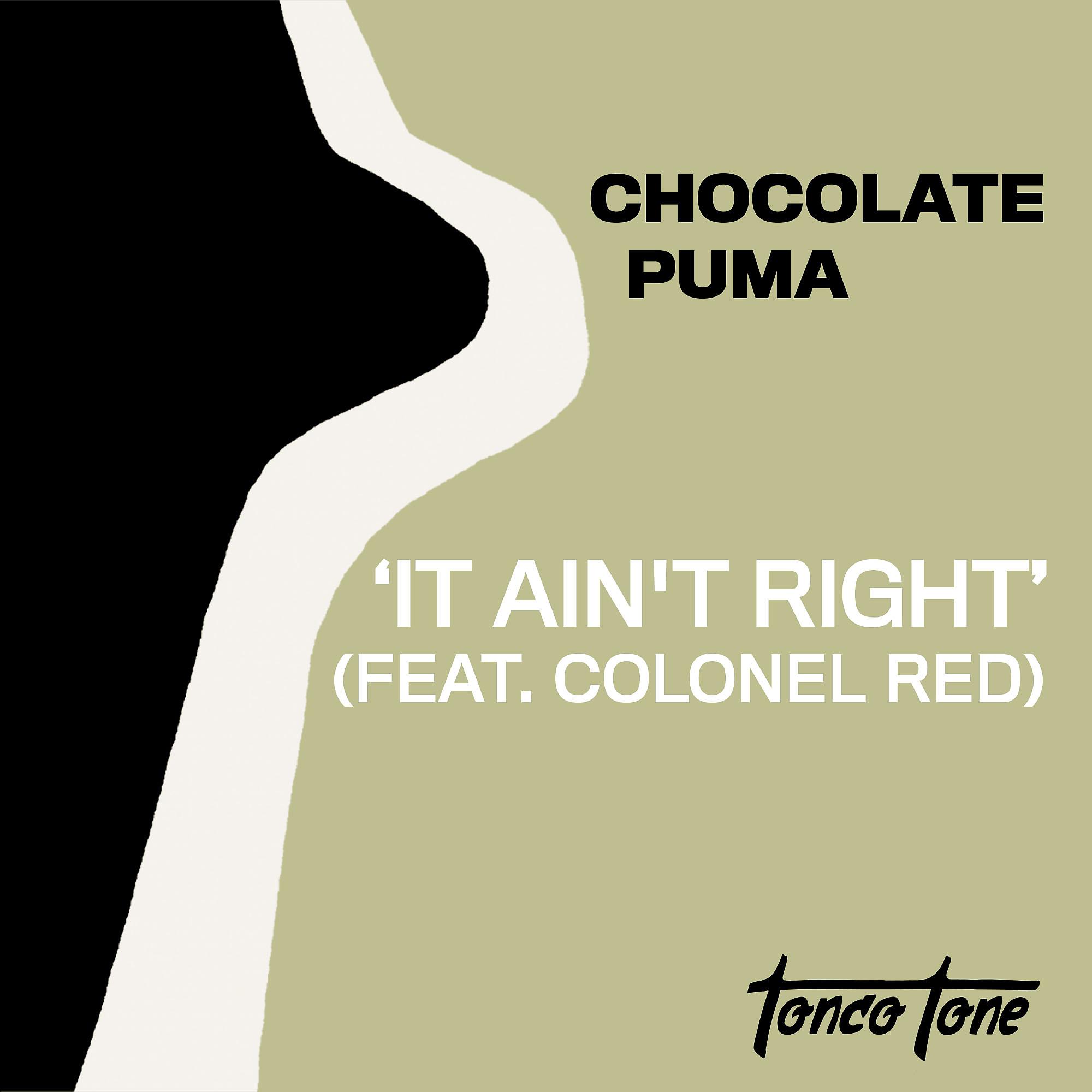 Постер альбома It Ain't Right (feat. Colonel Red)