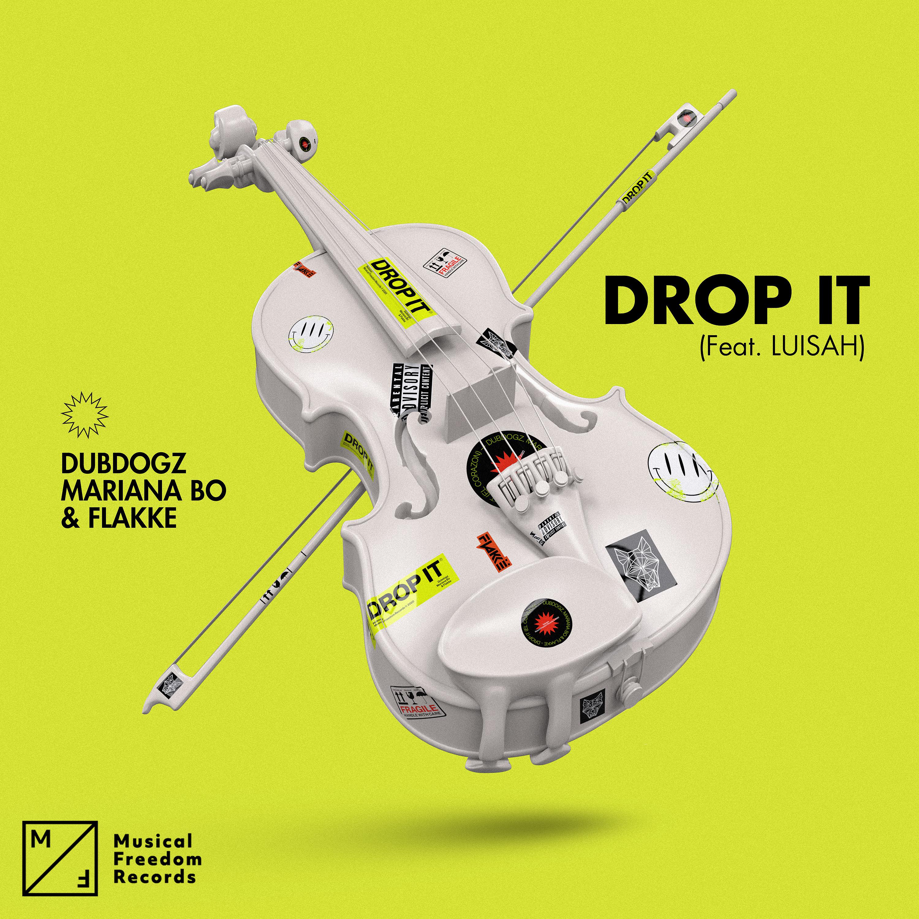 Постер альбома Drop It (feat. LUISAH)
