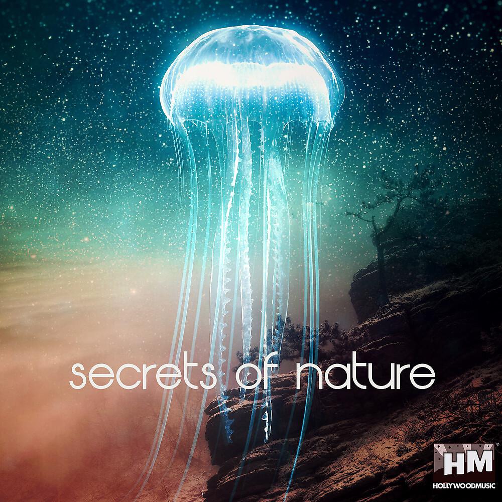 Постер альбома Secrets of Nature
