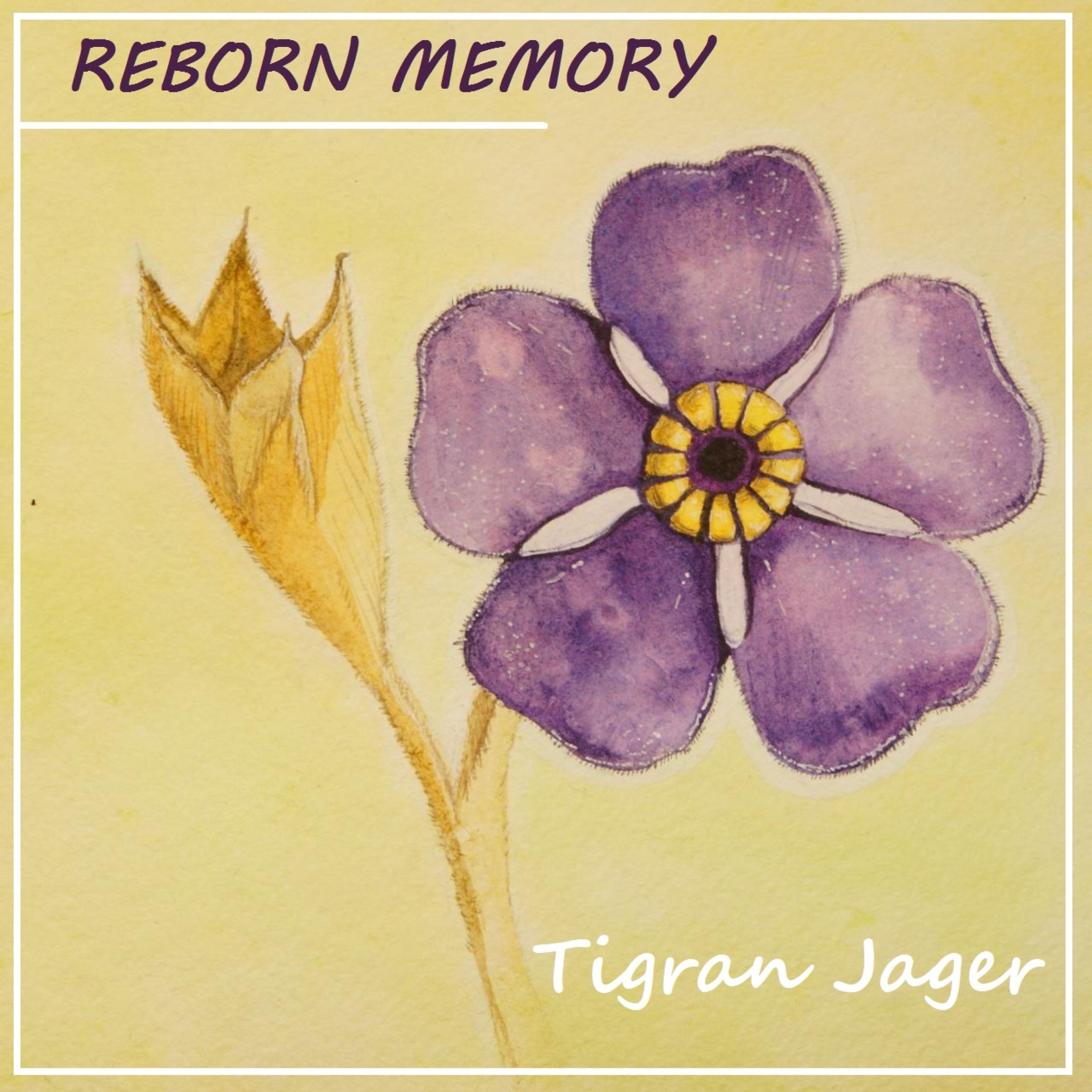 Постер альбома Reborn Memory