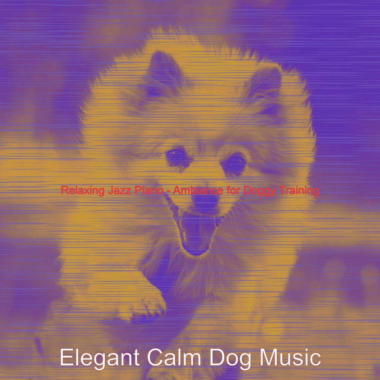 Elegant Calm Dog Music - Magnificent Solo Piano Jazz - Vibe for Relaxing Dogs