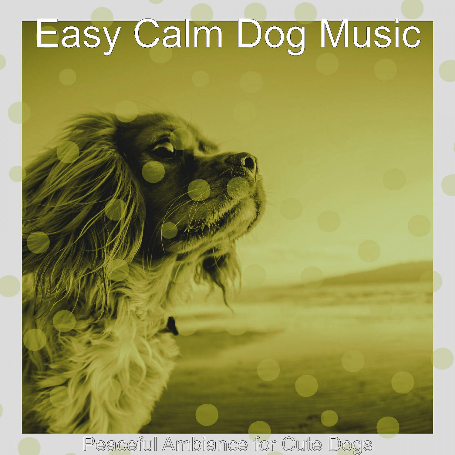 Easy Calm Dog Music - Retro Backdrops for Cute Dogs