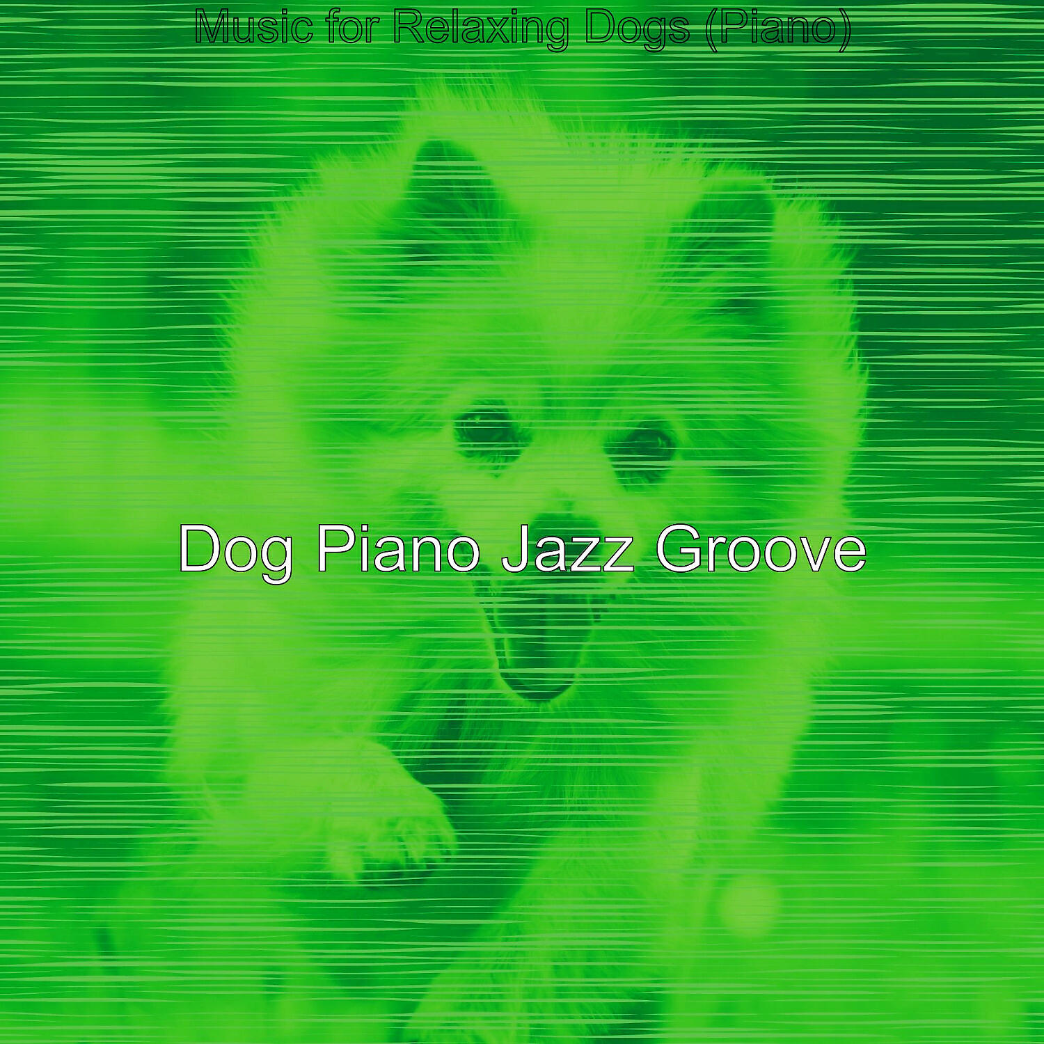 Dog Piano Jazz Groove - Debonair Backdrops for Keeping Dogs Relaxed