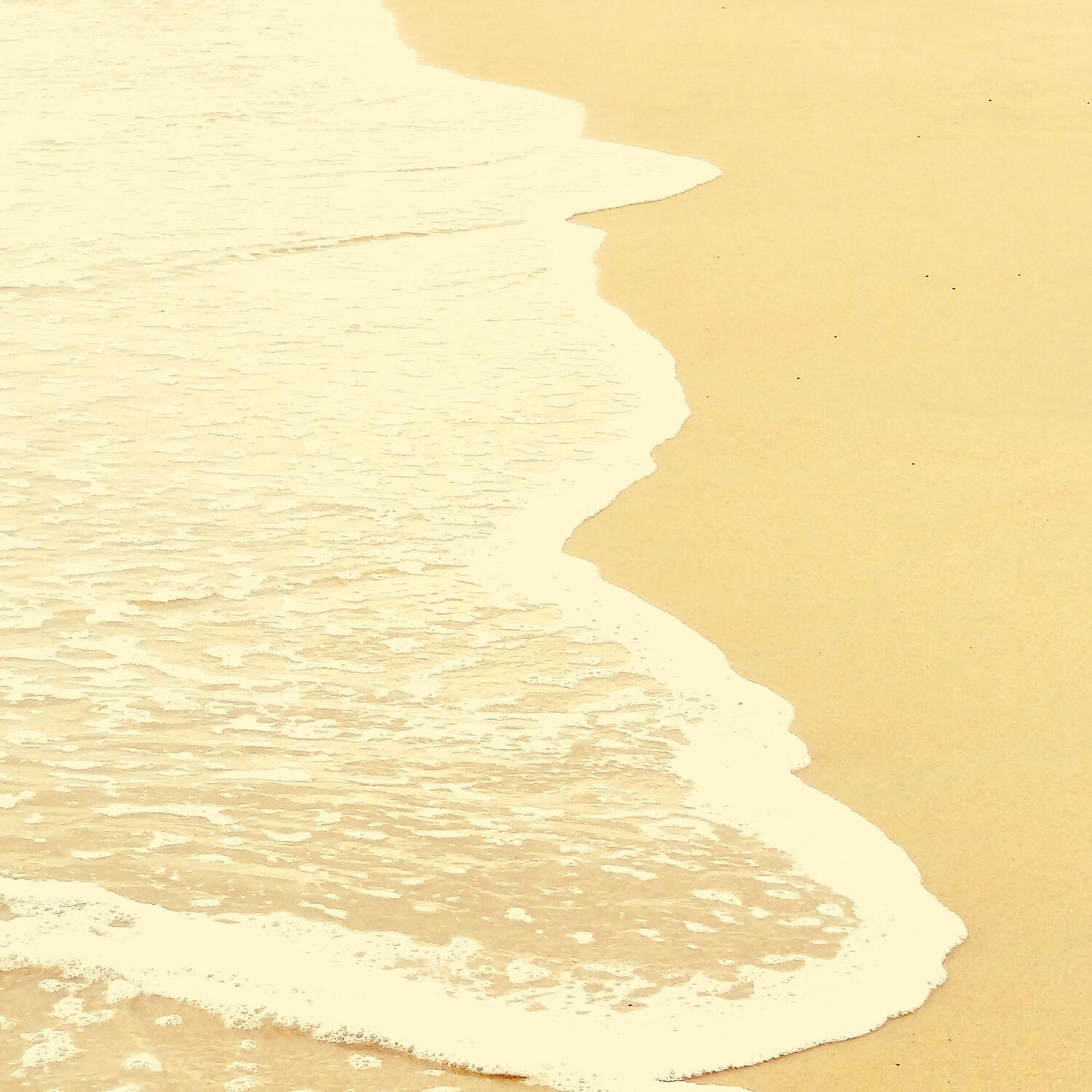 Brilliant ASMR Ocean Waves - Laid-back Crashing Waves
