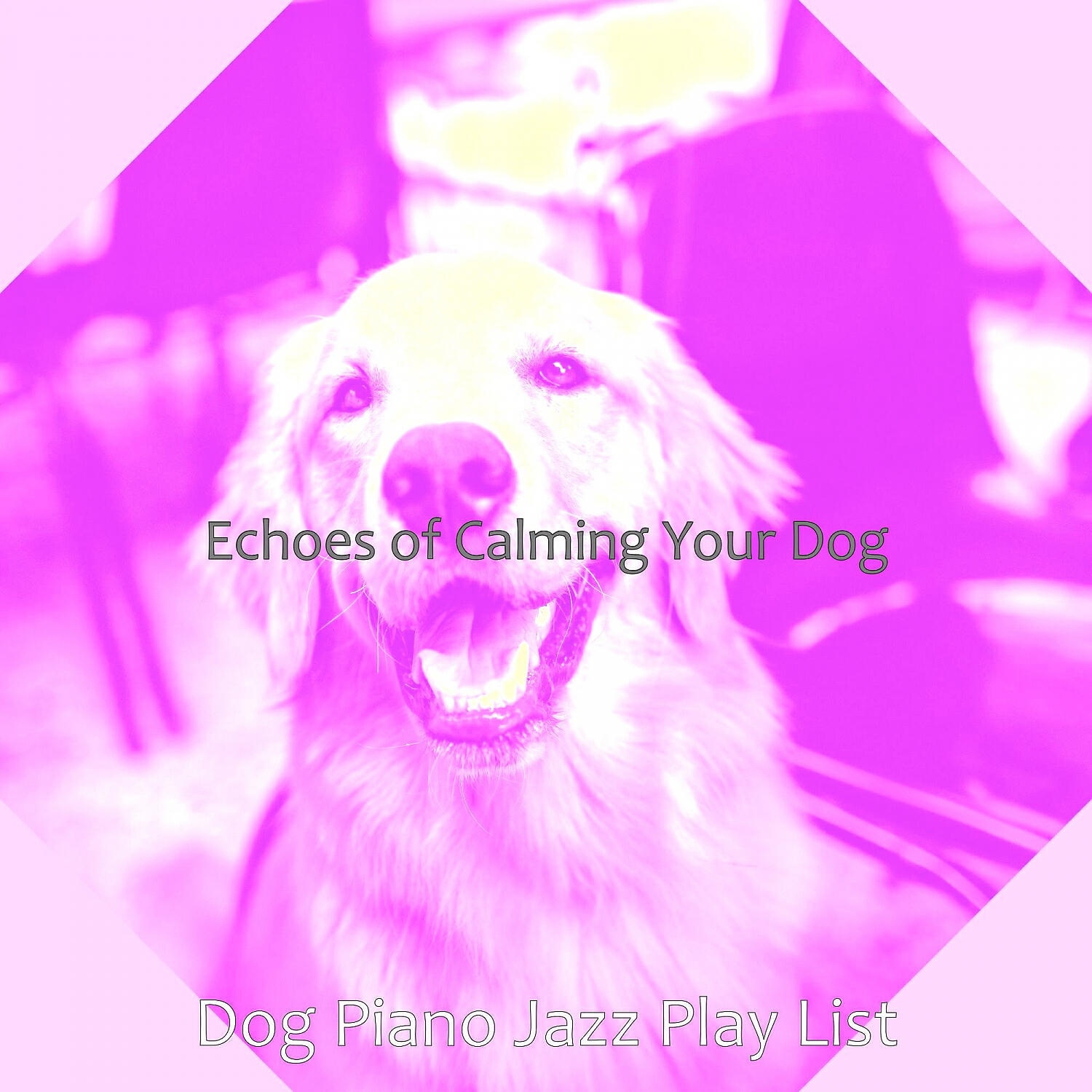 Dog Piano Jazz Play List - Paradise Like Solo Piano Jazz - Vibe for Quiet Puppies