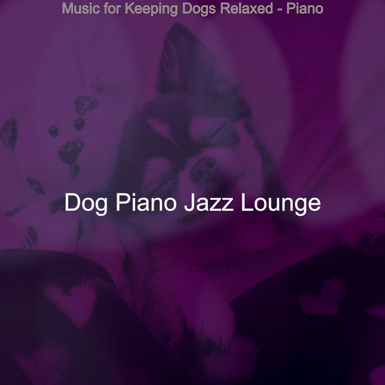 Dog Piano Jazz Lounge - Excellent Solo Piano Jazz - Vibe for Calming Your Dog