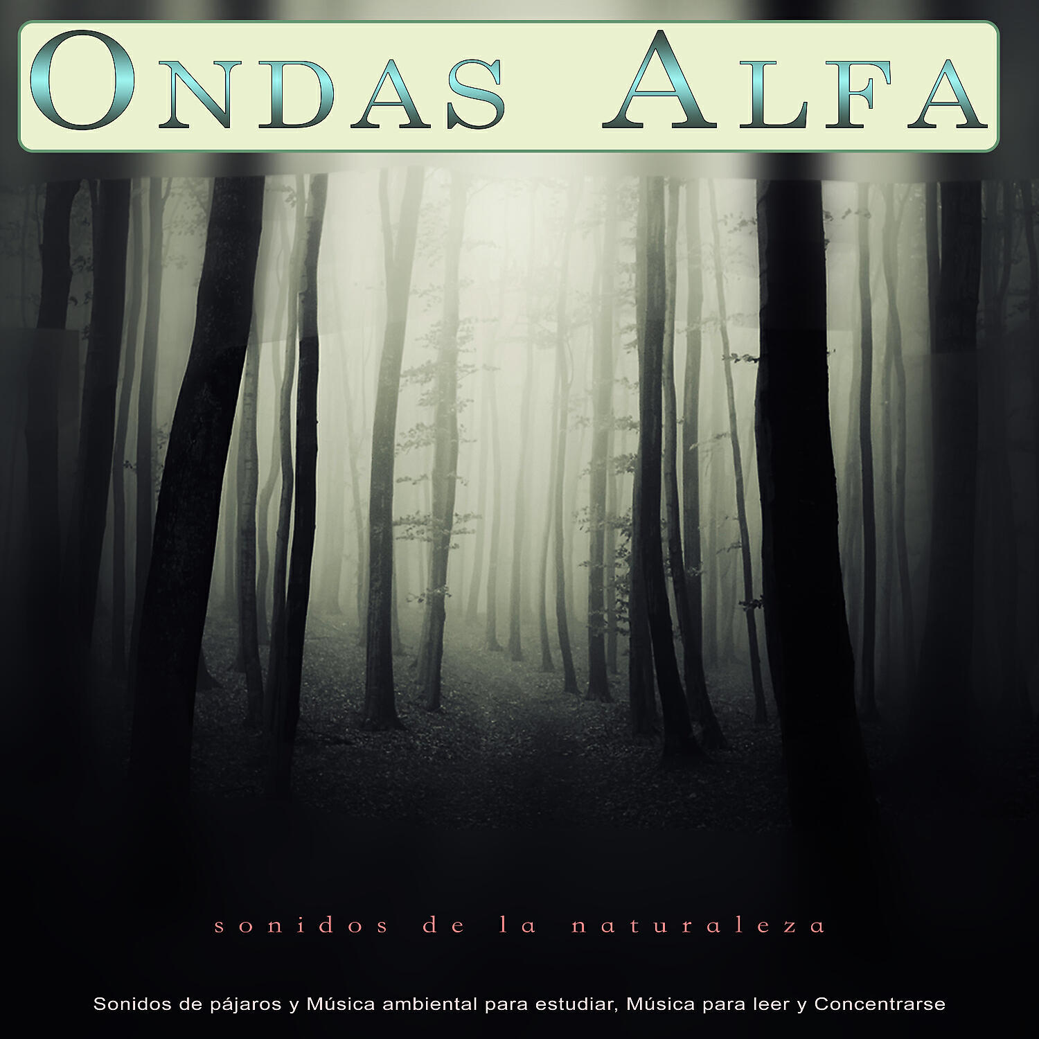 Ondas Alfa - Ondas Alfa - Música para estudiar y sonidos de la naturaleza