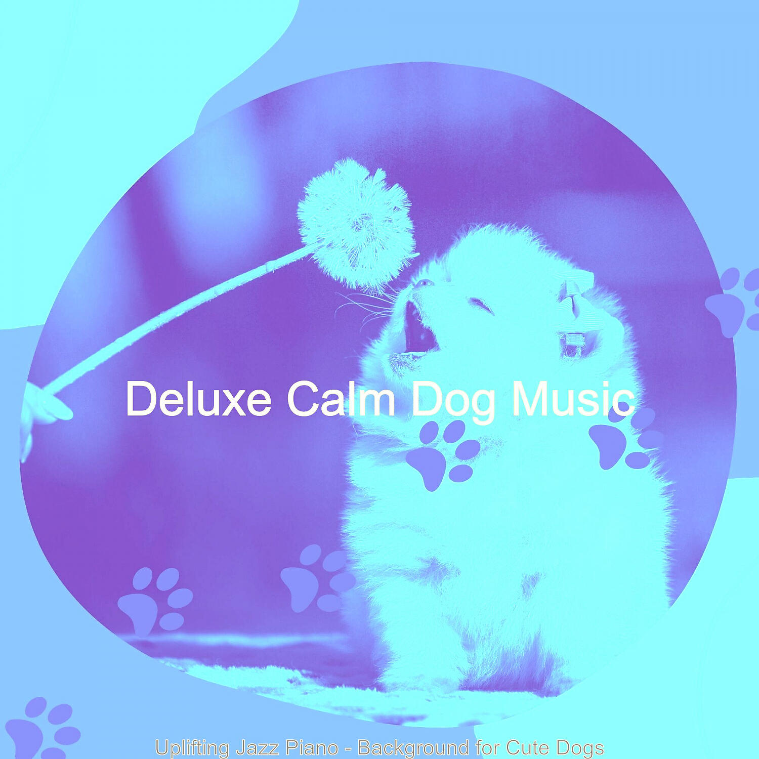 Deluxe Calm Dog Music - Cool Moods for Walking Doggies