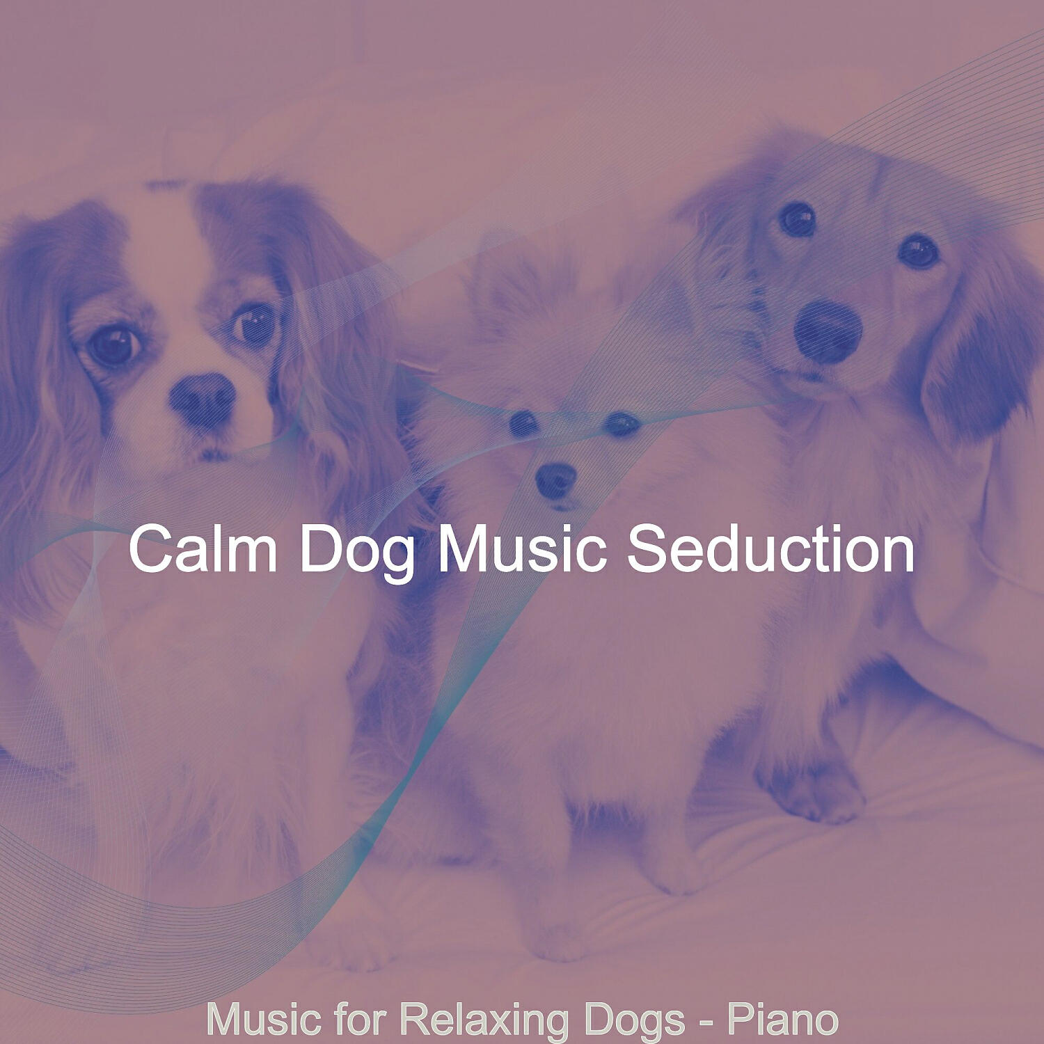 Calm Dog Music Seduction - Cheerful Cute Dogs