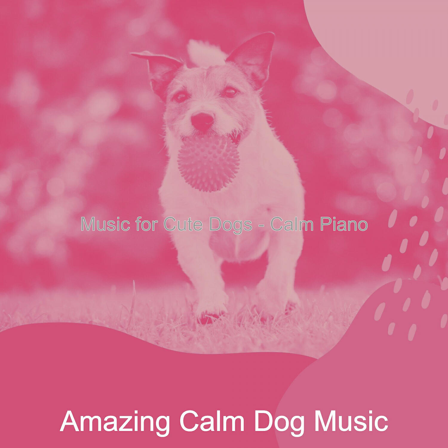 Amazing Calm Dog Music - Wicked Solo Piano Jazz - Vibe for Doggy Training