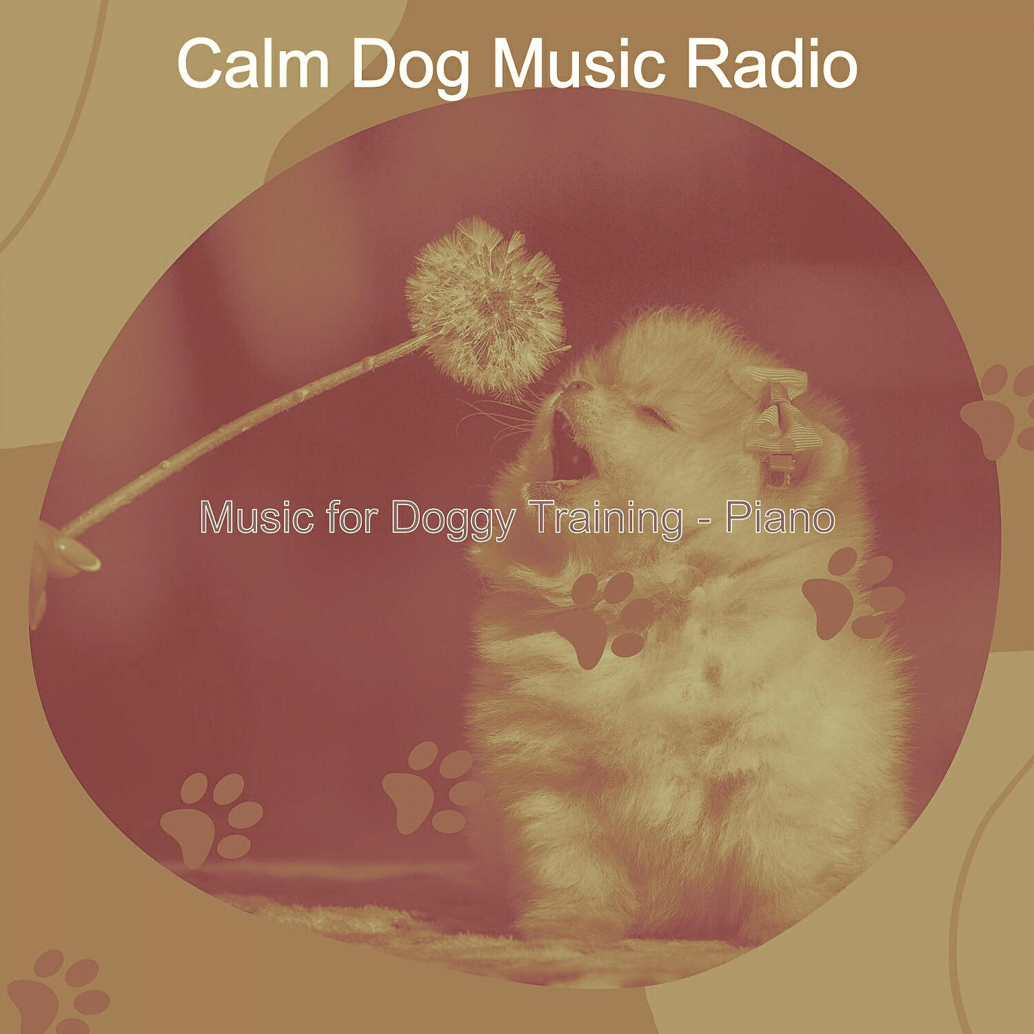 Calm Dog Music Radio - Vibrant Solo Piano Jazz - Vibe for Relaxing Dogs