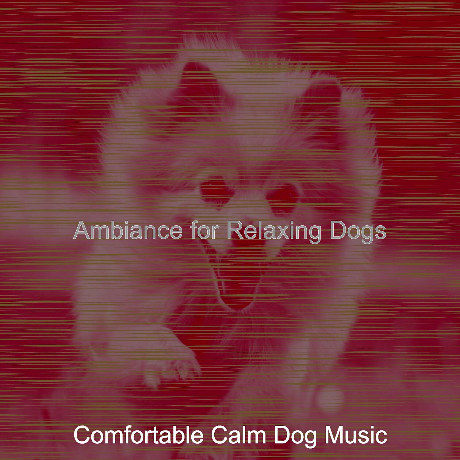 Comfortable Calm Dog Music - Happy Moods for Calming Pups