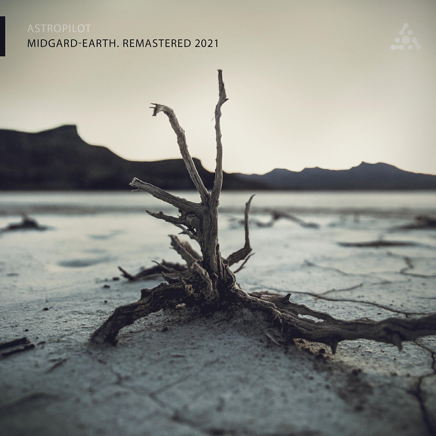 AstroPilot - Midgard-Earth (r.roo Remix)