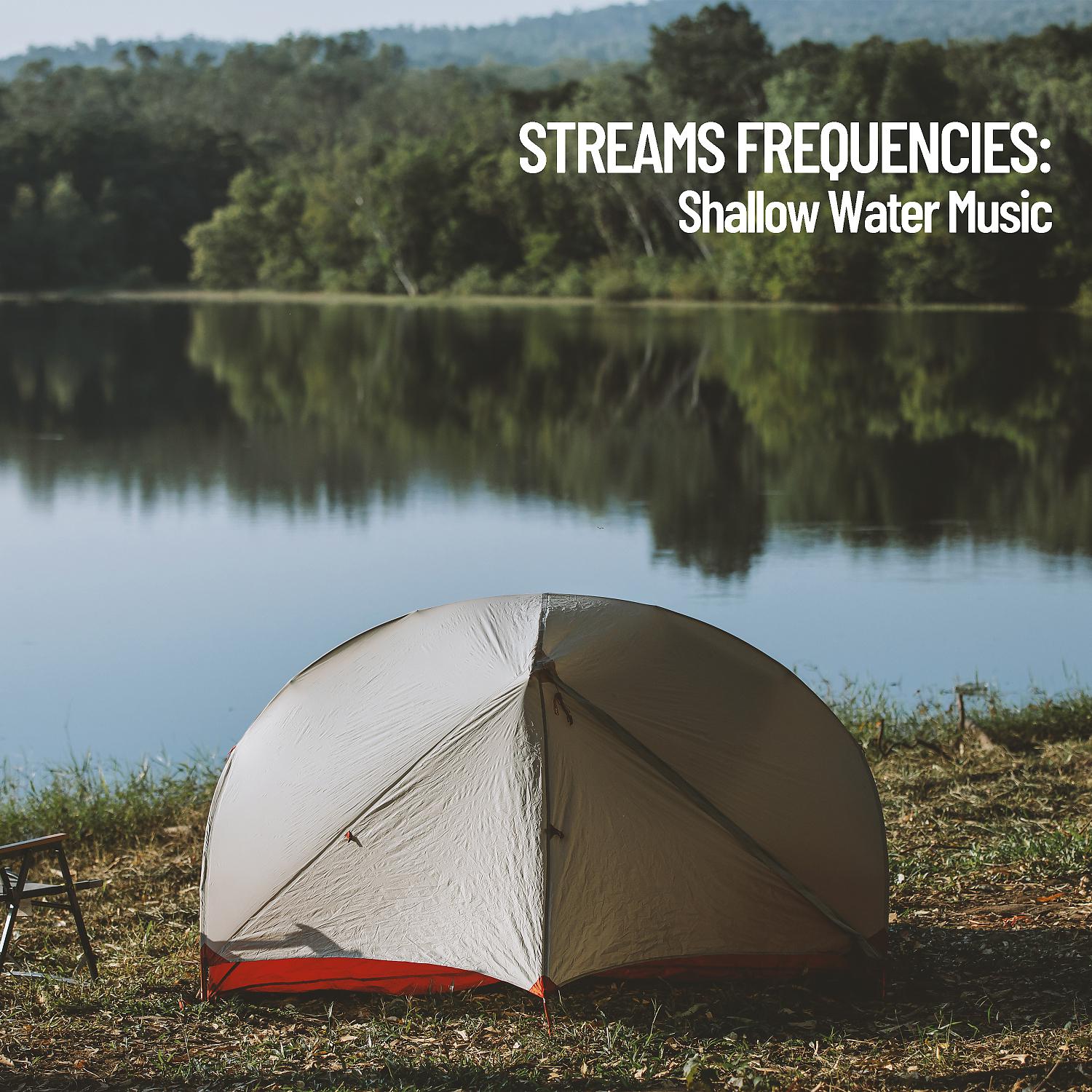 Постер альбома Stream Frequencies: Shallow Water Music