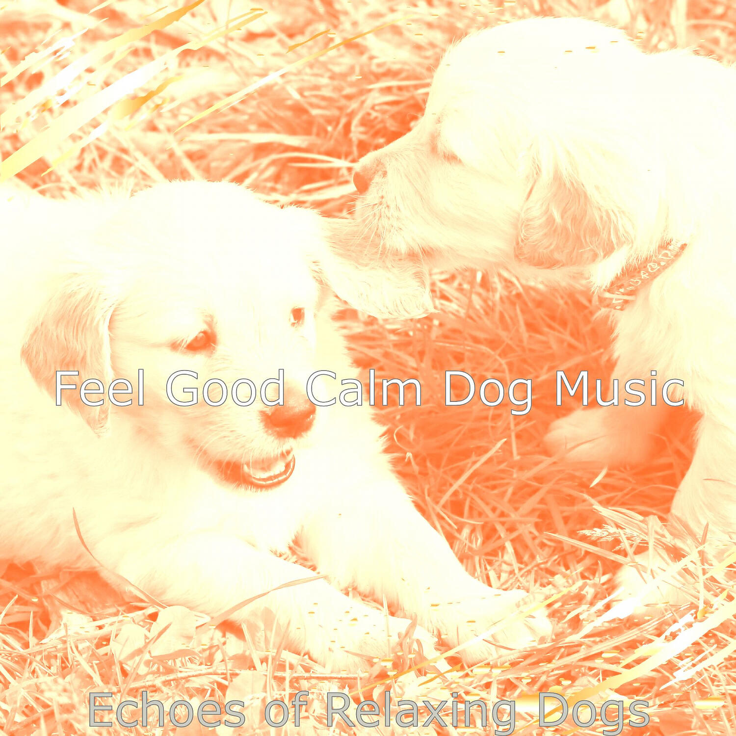 Feel Good Calm Dog Music - Background for Relaxing Dogs