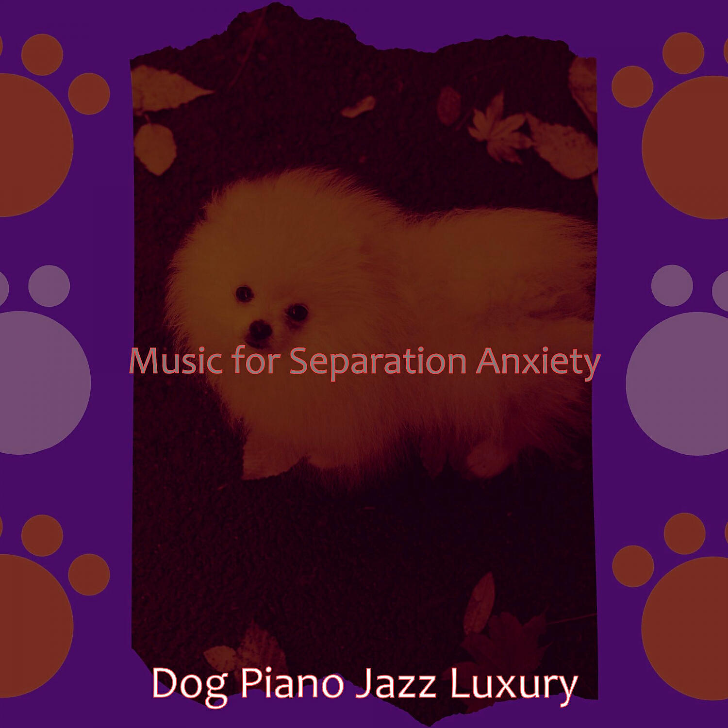 Dog Piano Jazz Luxury - Vibrant Backdrops for Sleeping Dogs