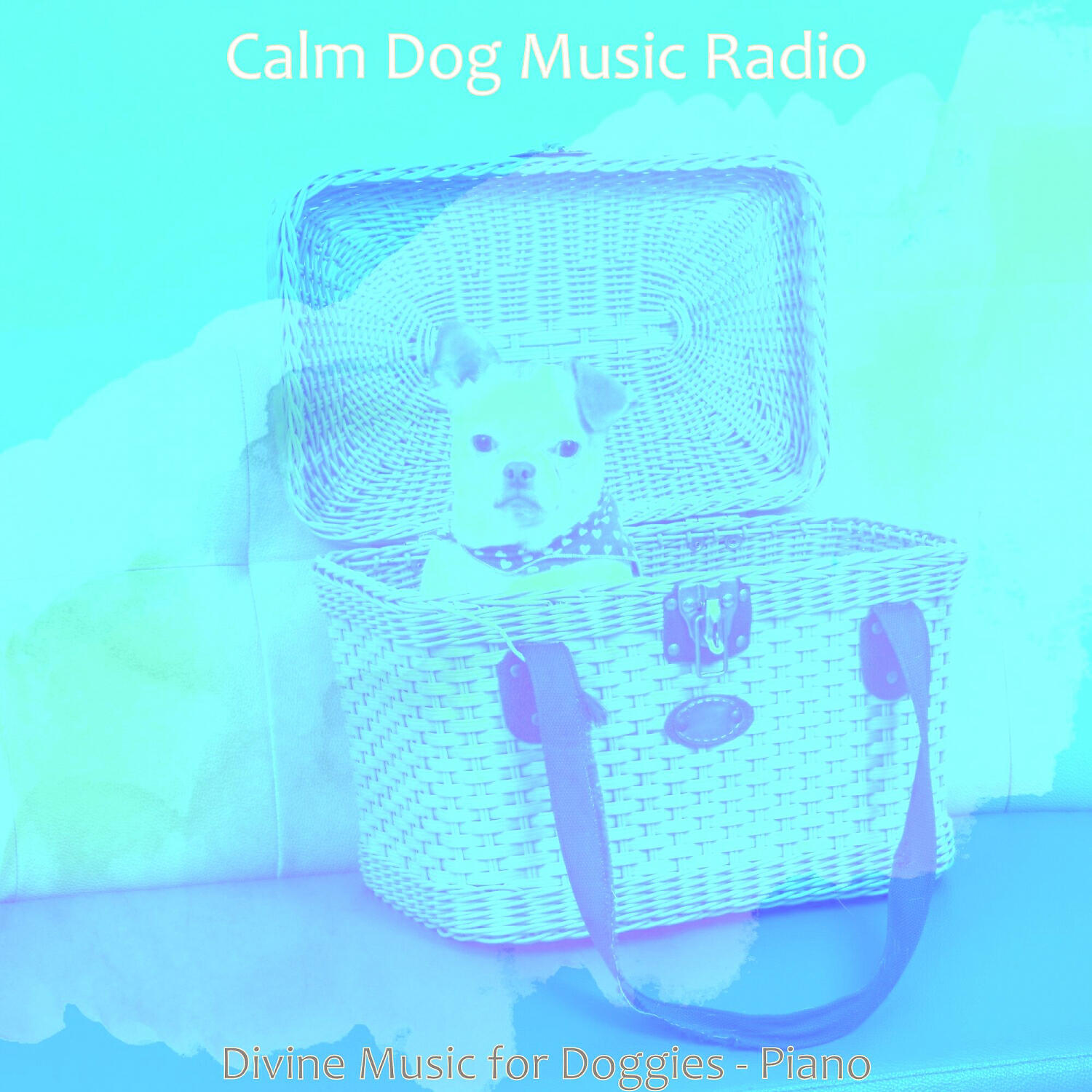 Calm Dog Music Radio - Mysterious Doggy Training