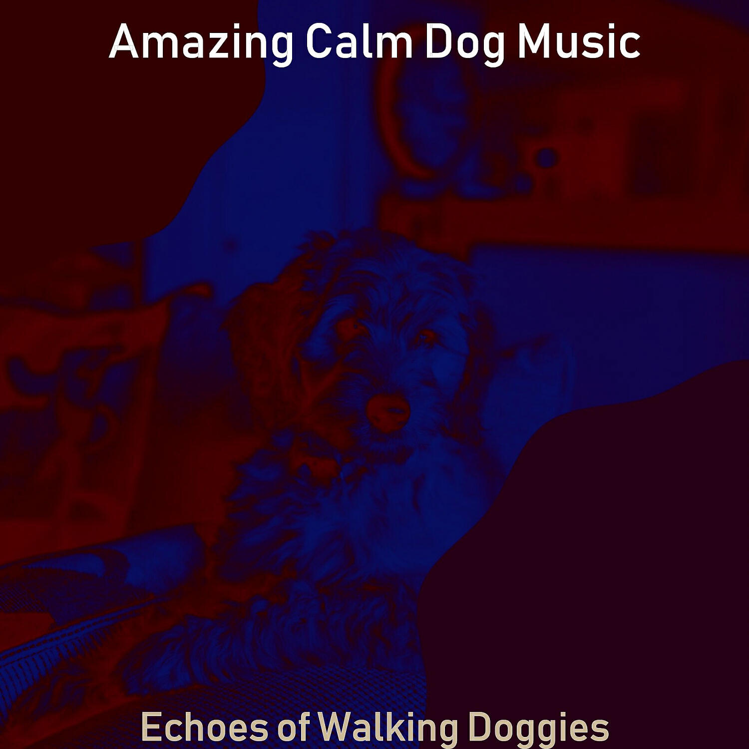 Amazing Calm Dog Music - Casual Backdrops for Calming Pups