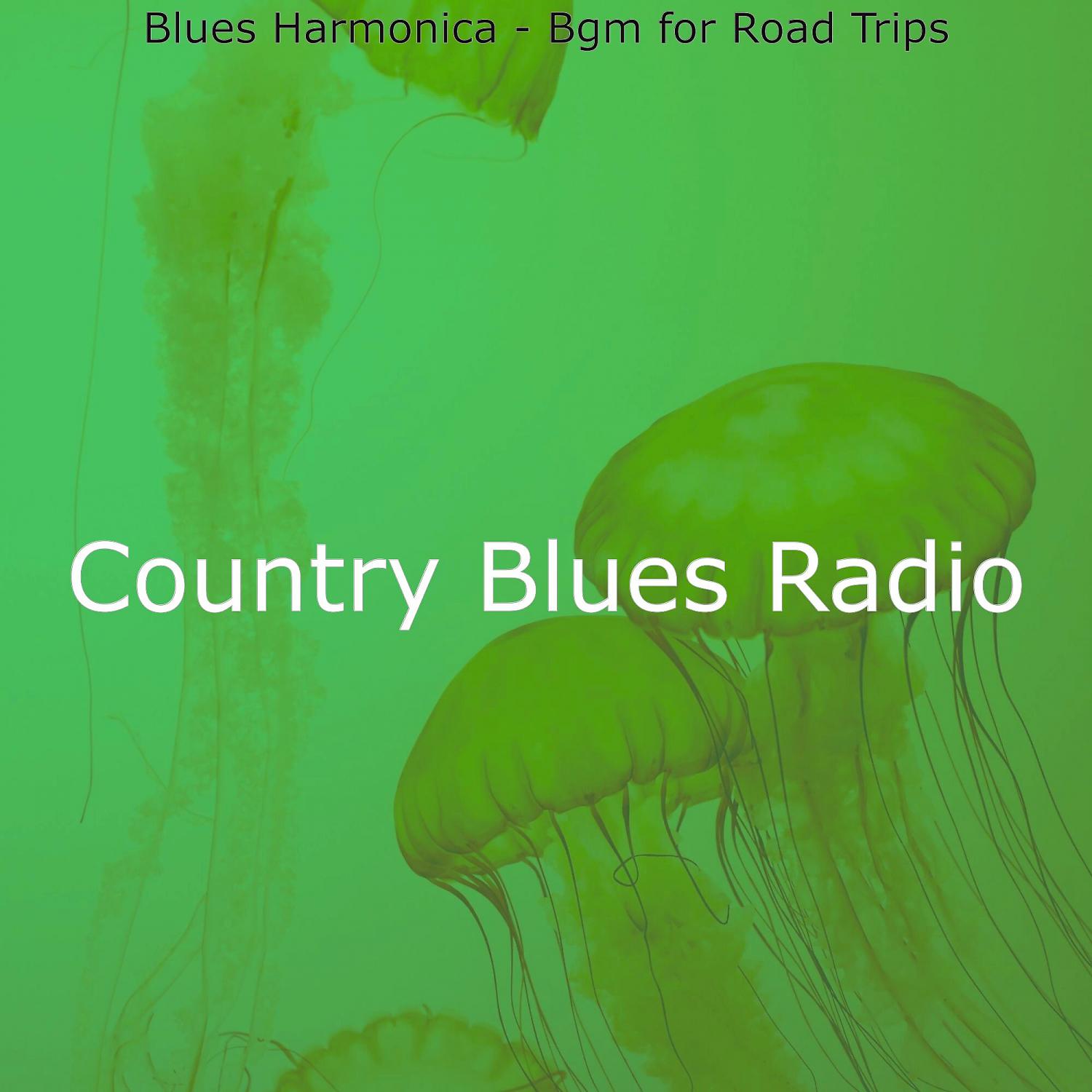 Постер альбома Blues Harmonica - Bgm for Road Trips