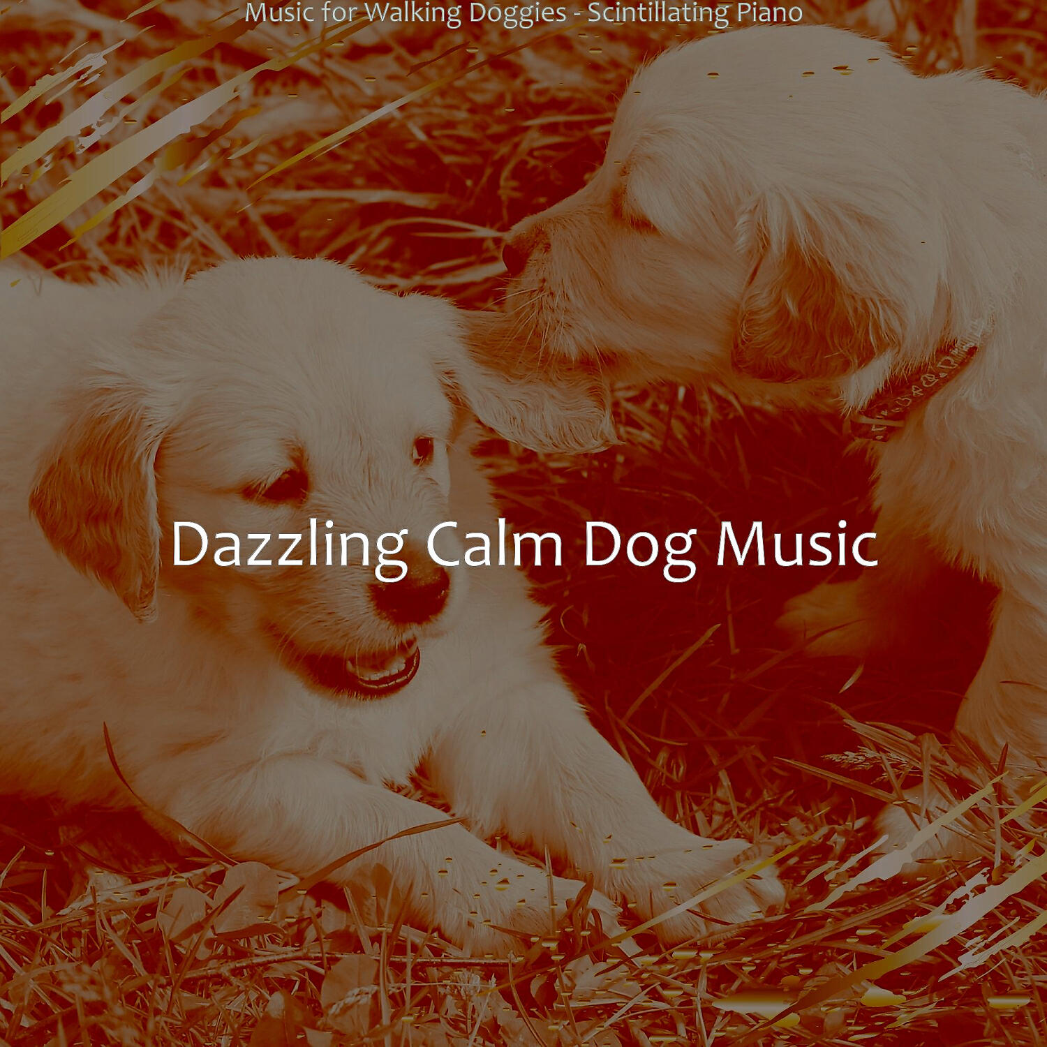 Dazzling Calm Dog Music - Excellent Solo Piano Jazz - Vibe for Calming Pups