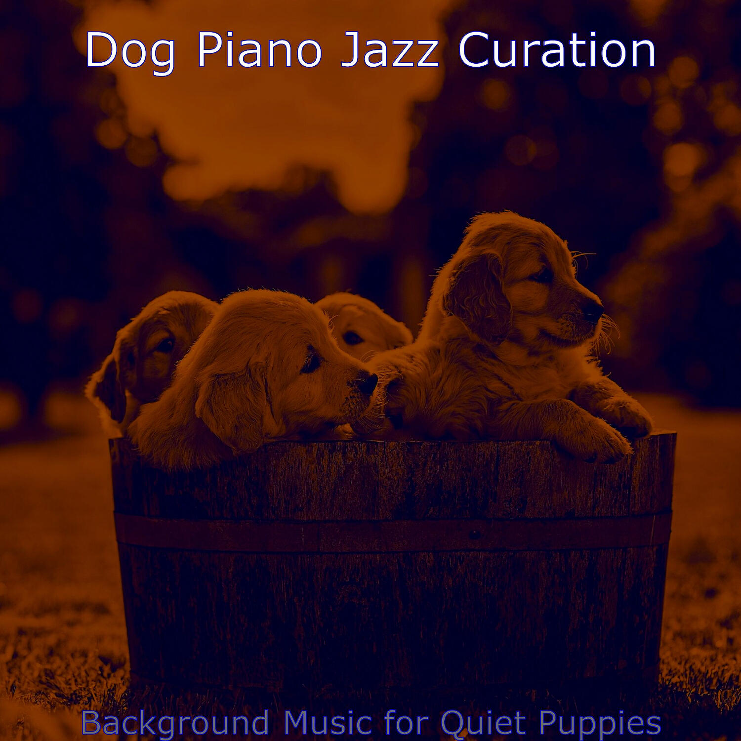 Dog Piano Jazz Curation - Excellent Solo Piano Jazz - Vibe for Separation Anxiety