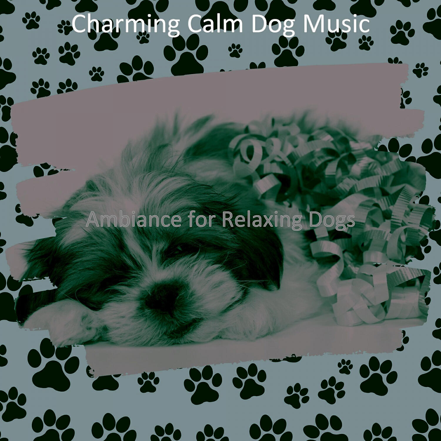 Charming Calm Dog Music - Fabulous Backdrops for Calming Pups