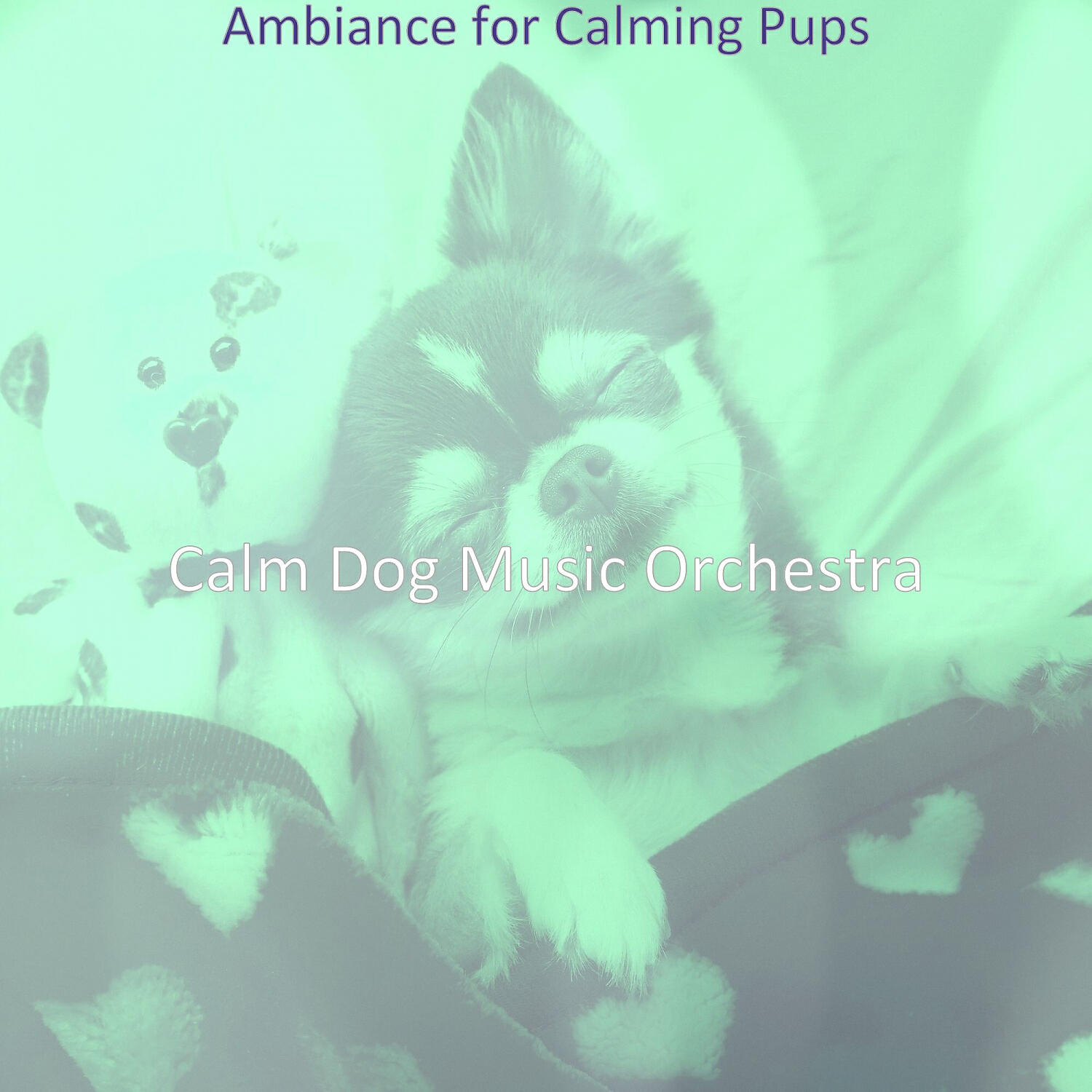 Calm Dog Music Orchestra - Charming Ambience for Cute Dogs