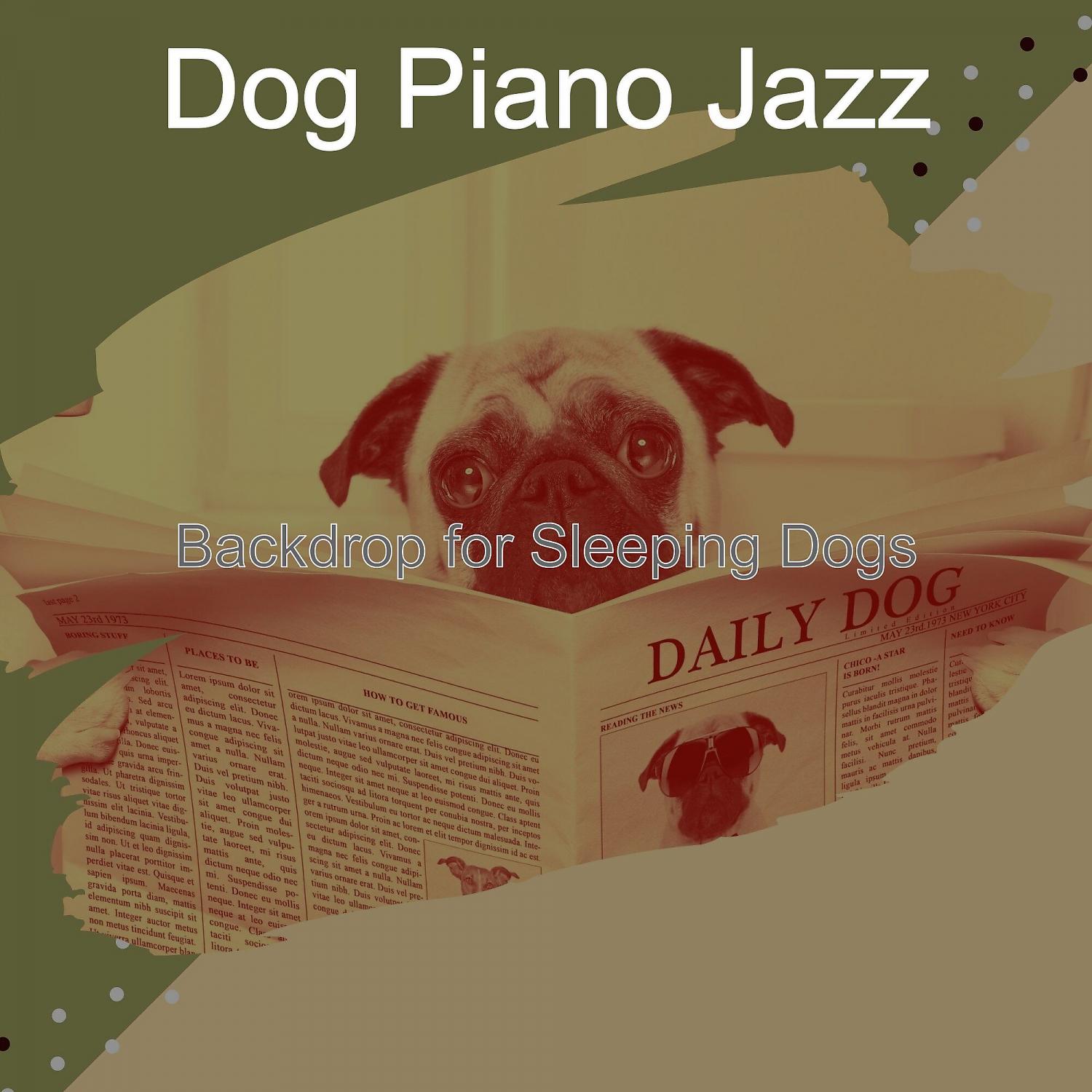 Постер альбома Backdrop for Sleeping Dogs
