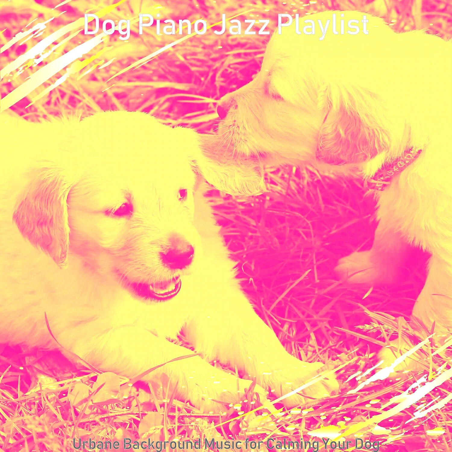 Dog Piano Jazz Playlist - Playful Music for Sleeping Dogs