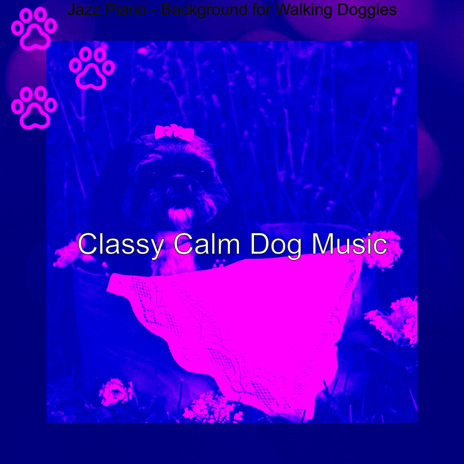 Classy Calm Dog Music - Fabulous Ambiance for Walking Doggies