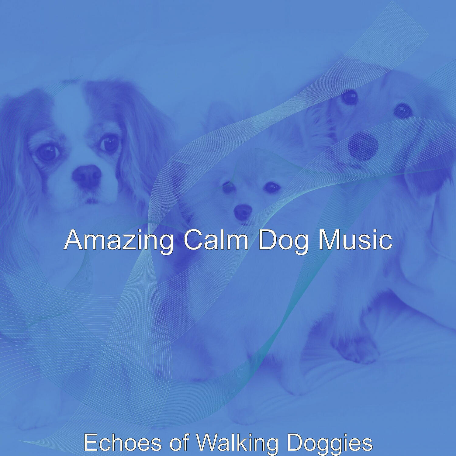 Amazing Calm Dog Music - Amazing Walking Doggies