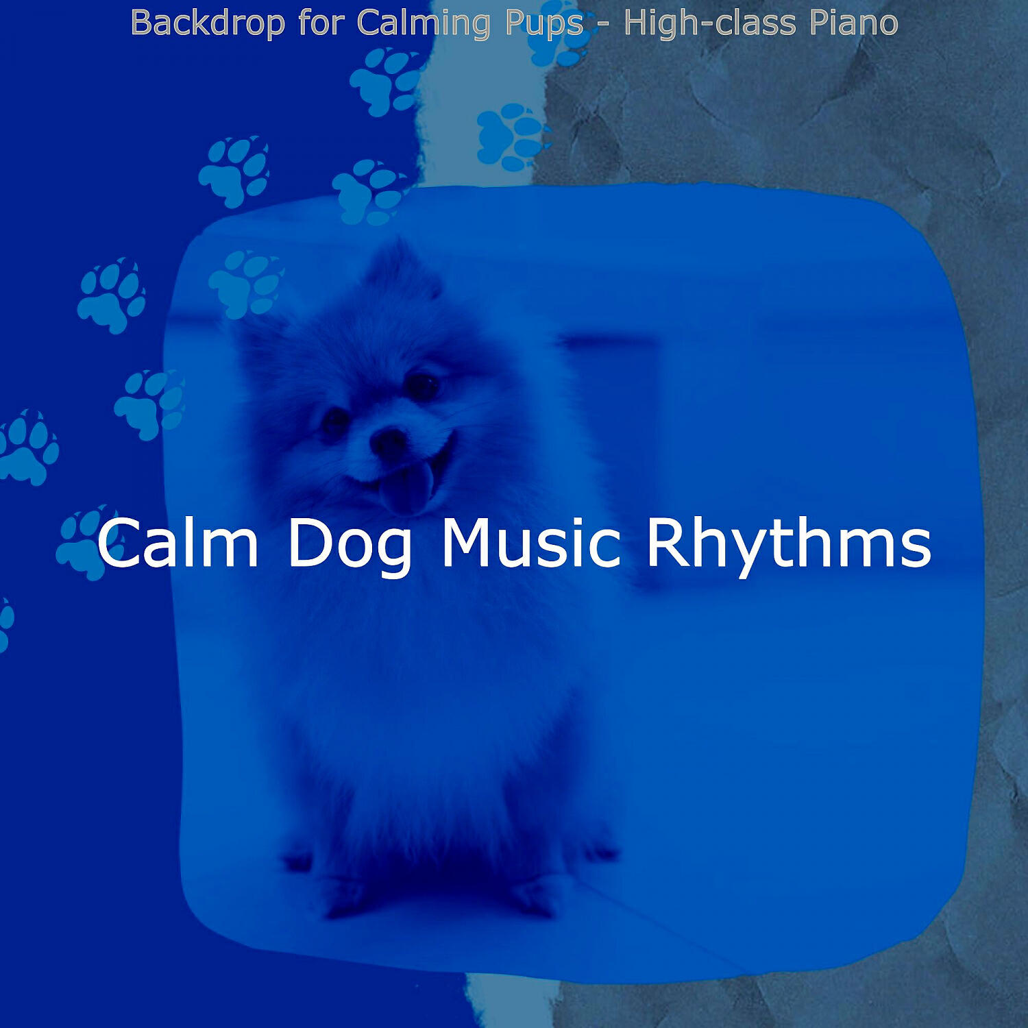 Calm Dog Music Rhythms - Cultured Ambience for Relaxing Dogs