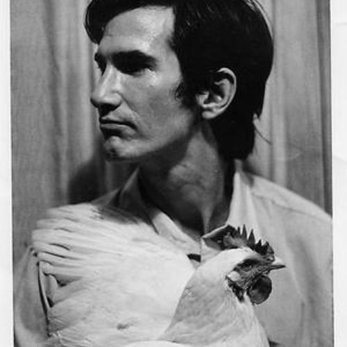 Townes Van Zandt - Buckskin Stallion Blues