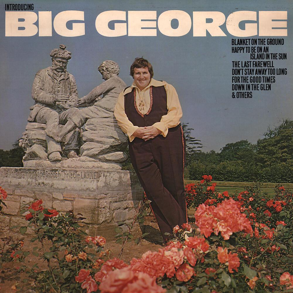 Постер альбома Introducing Big George