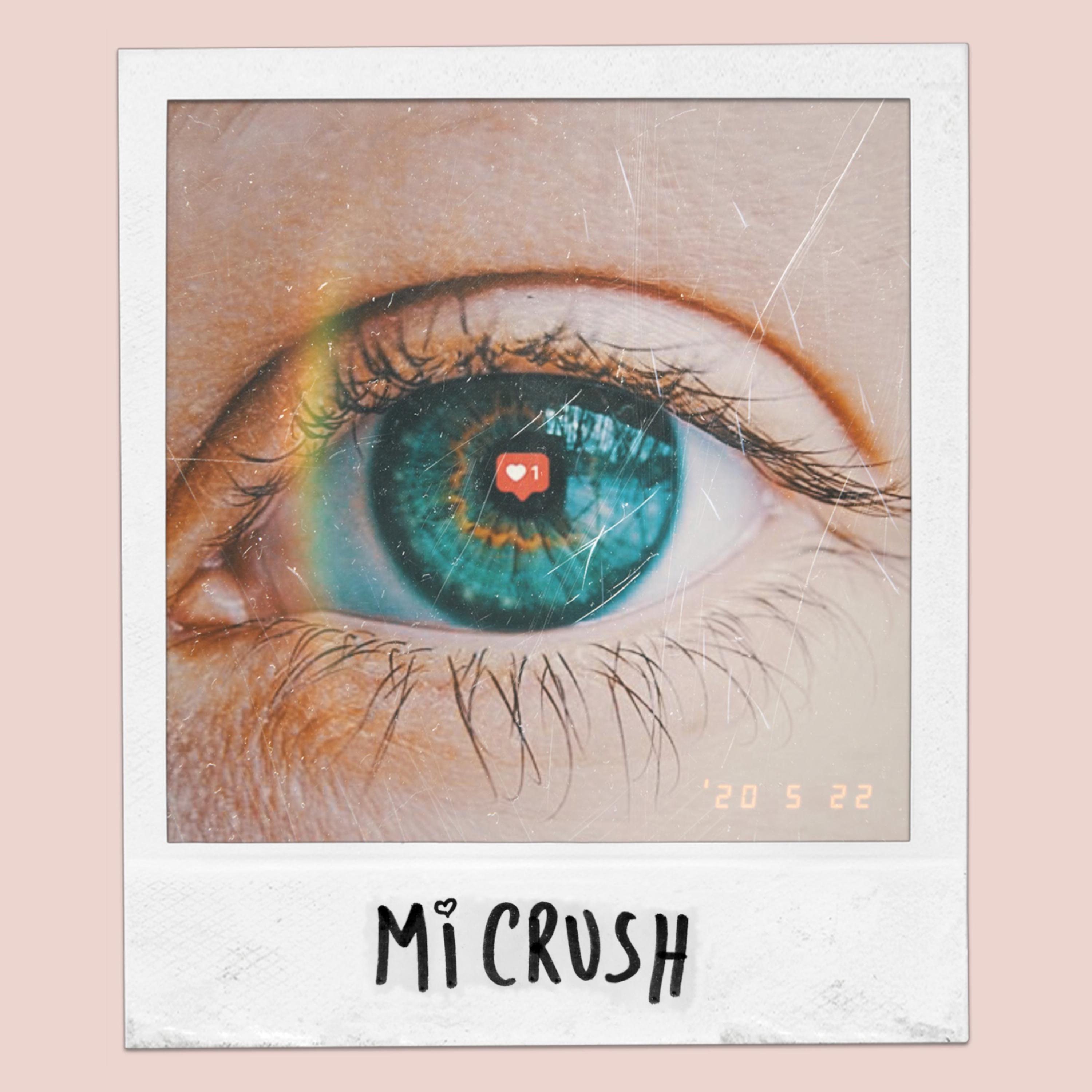 Постер альбома Mi Crush